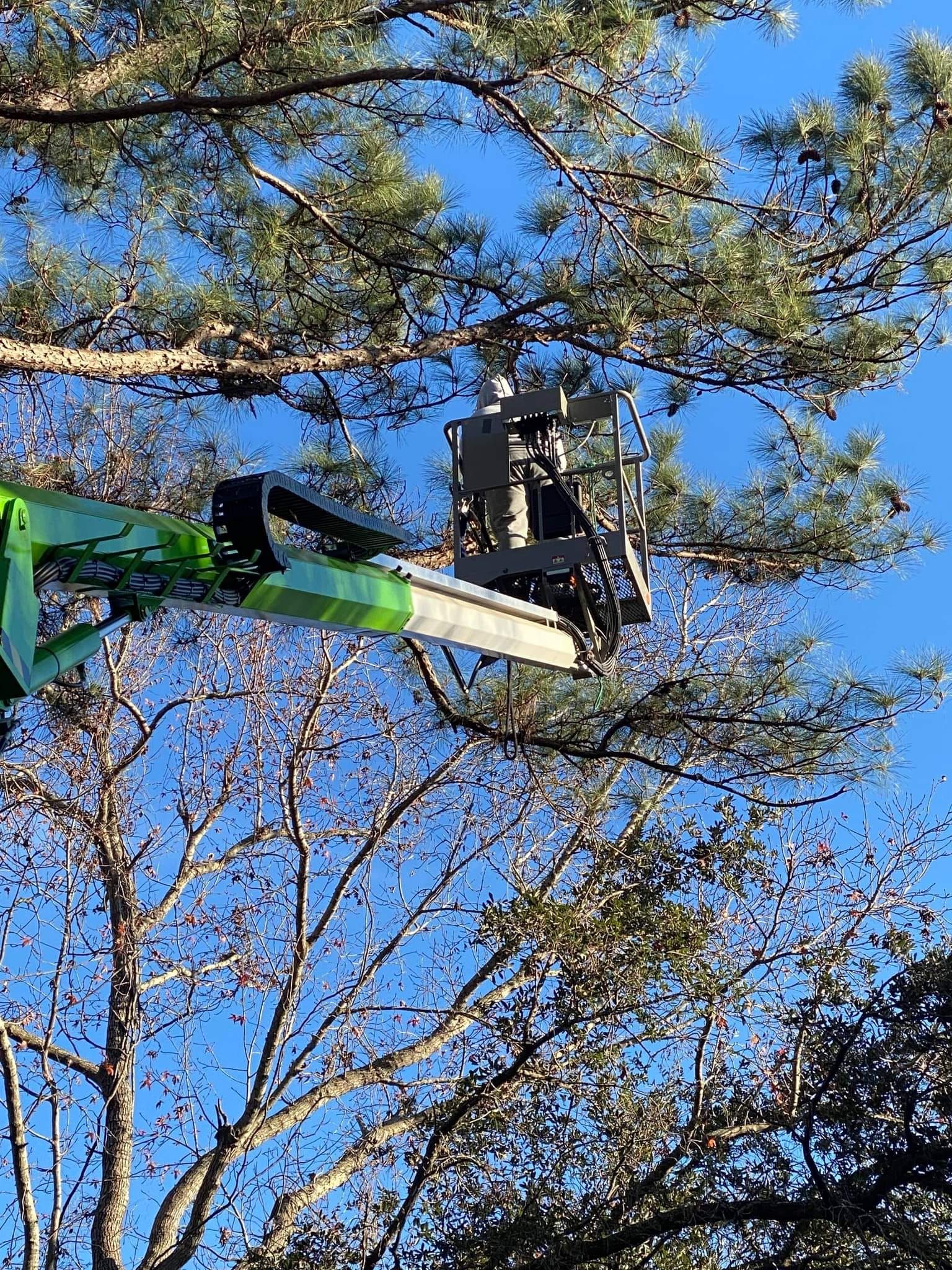  for Carolina Pros in Goose Creek, SC