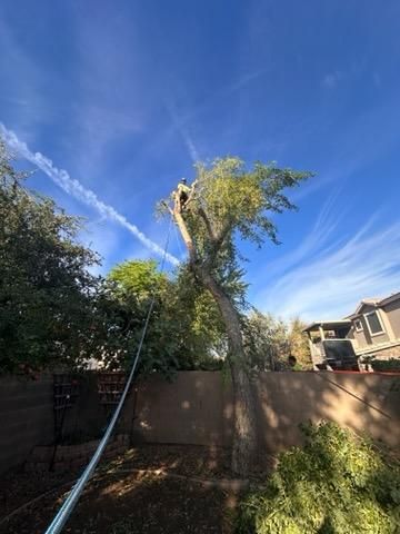  for American Dream Landscape Company in Surprise, AZ