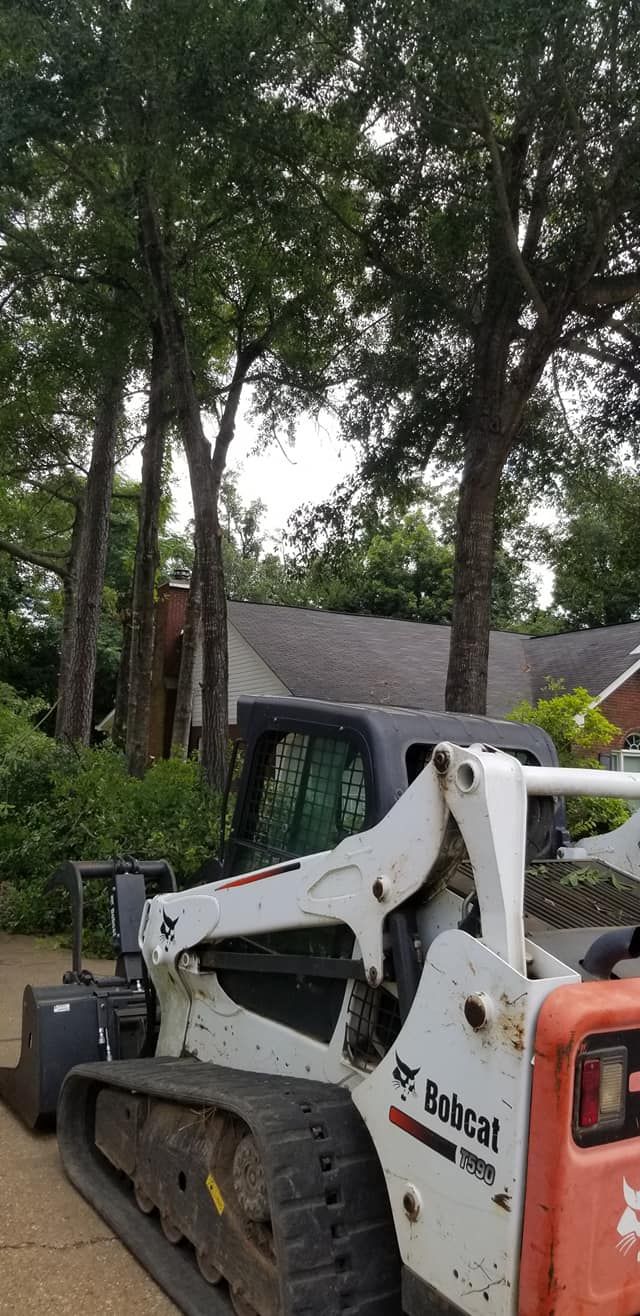  for DNA Tree Service in Birmingham, AL