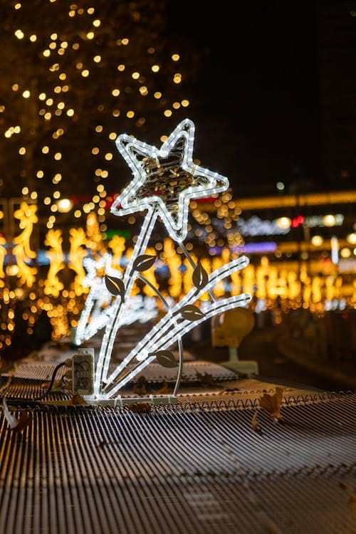  for Amazing Christmas Lights in Magnolia, TX