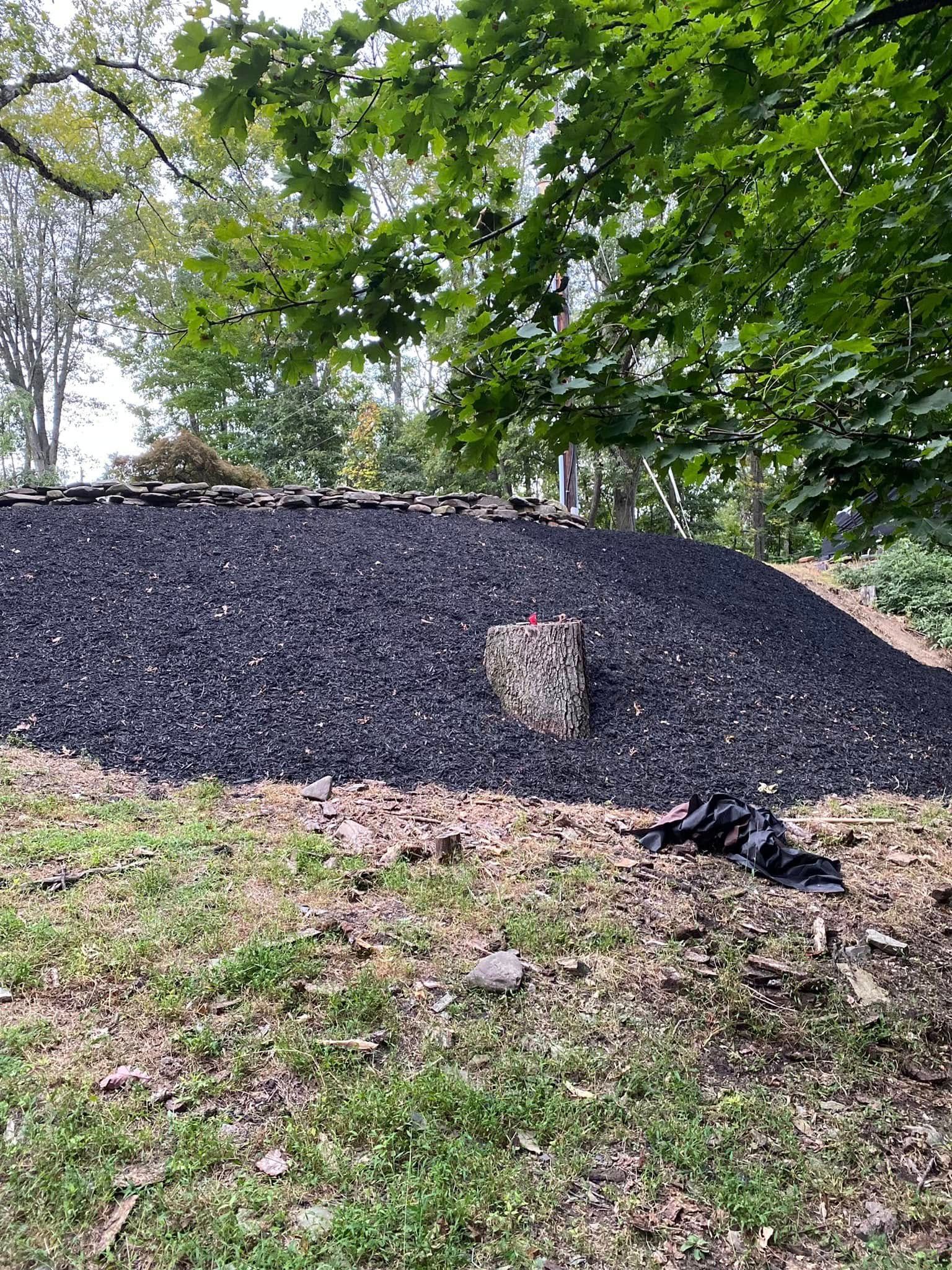  for Saul’s Landscaping Services in Williamsport, PA
