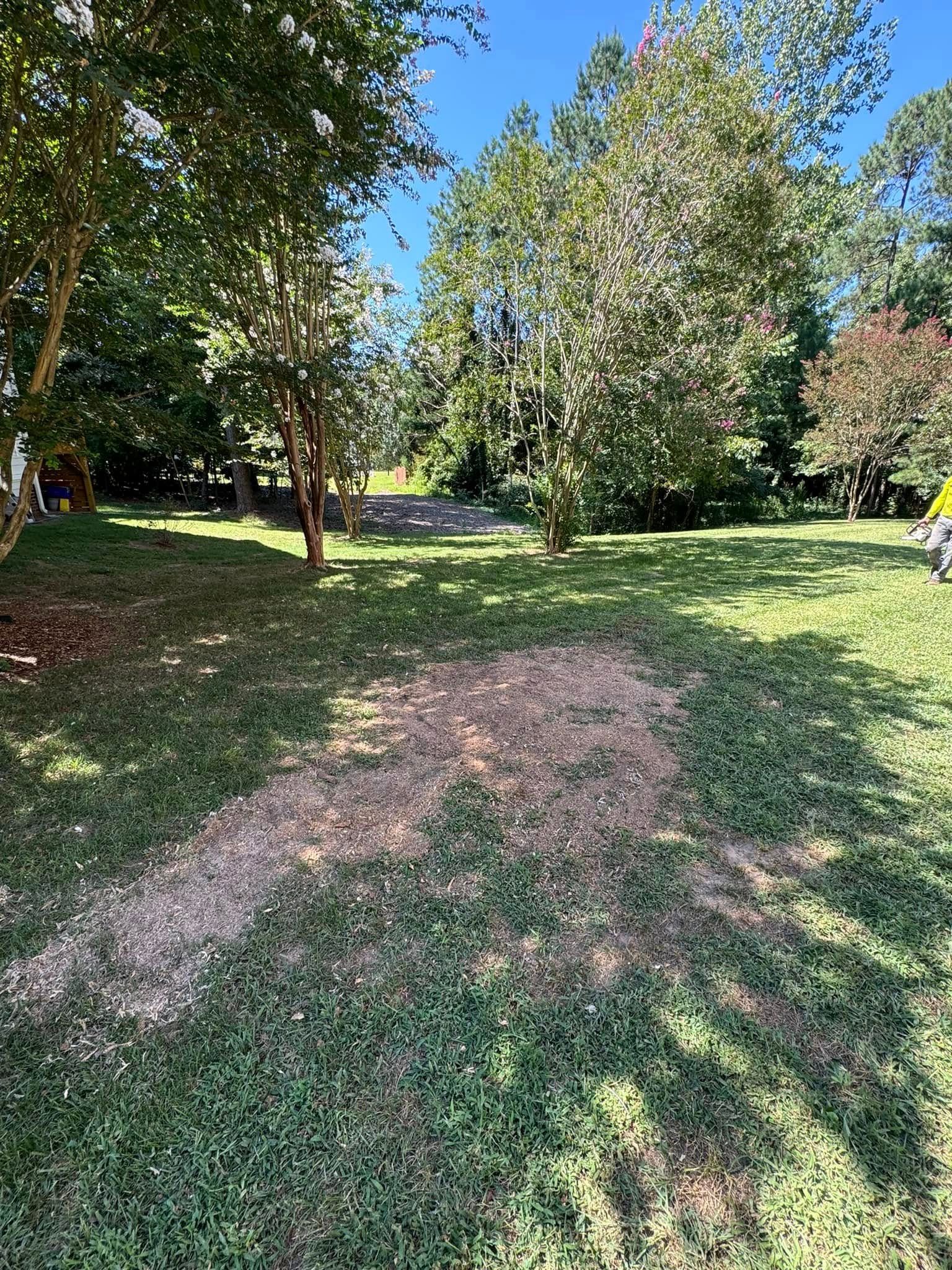 All Photos for Meade tree service in Greensboro, NC
