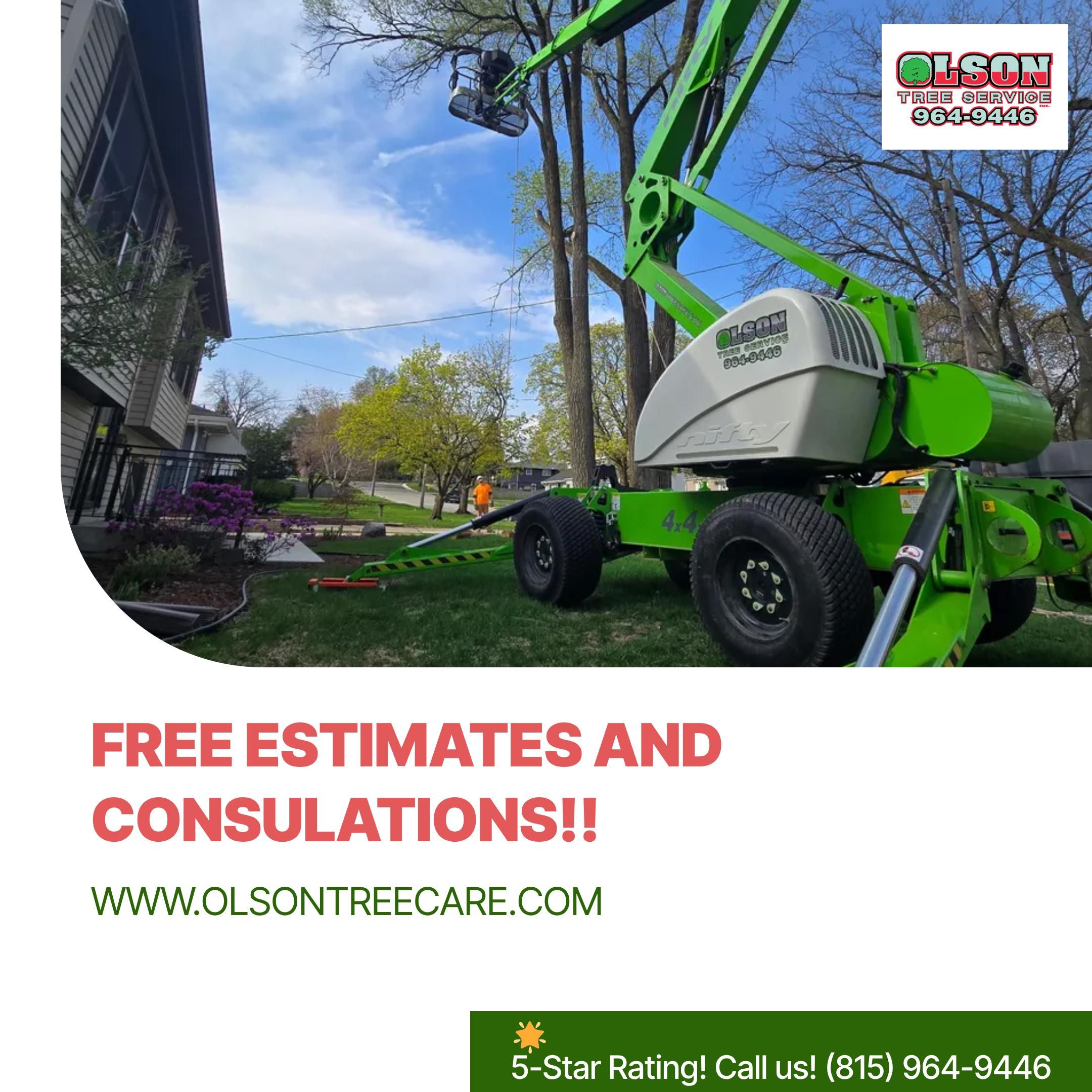 Tree Removal for Olson Tree Service, Inc in Rockford, IL