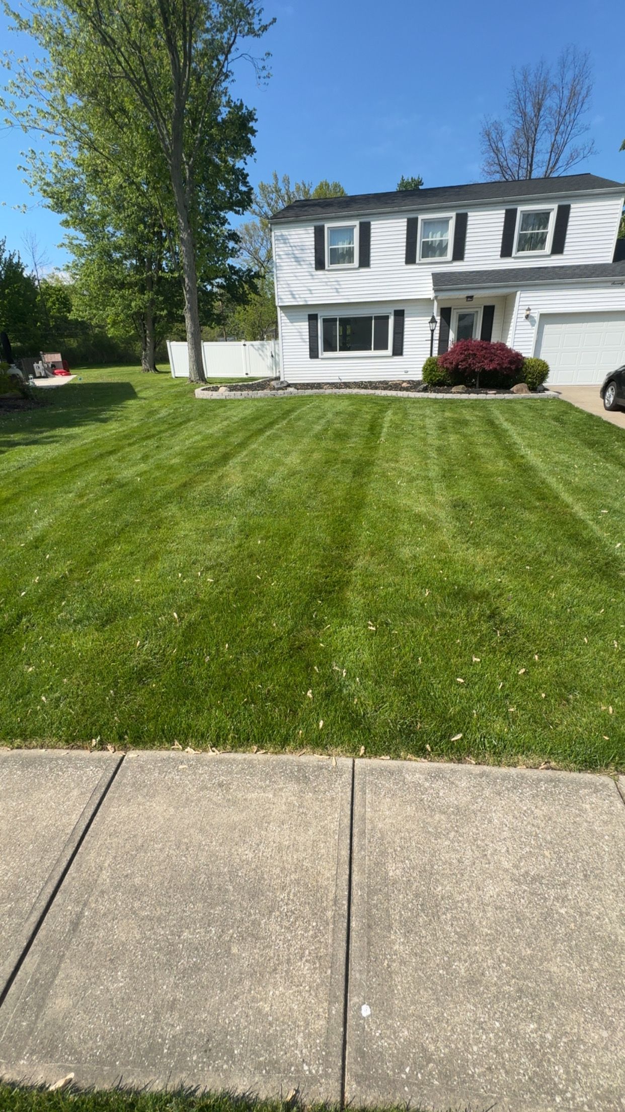  for Yard Theory in Willowick, OH
