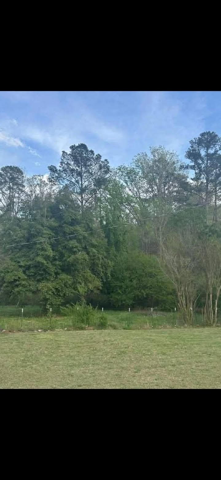  for Big C Land Management in Anniston, AL