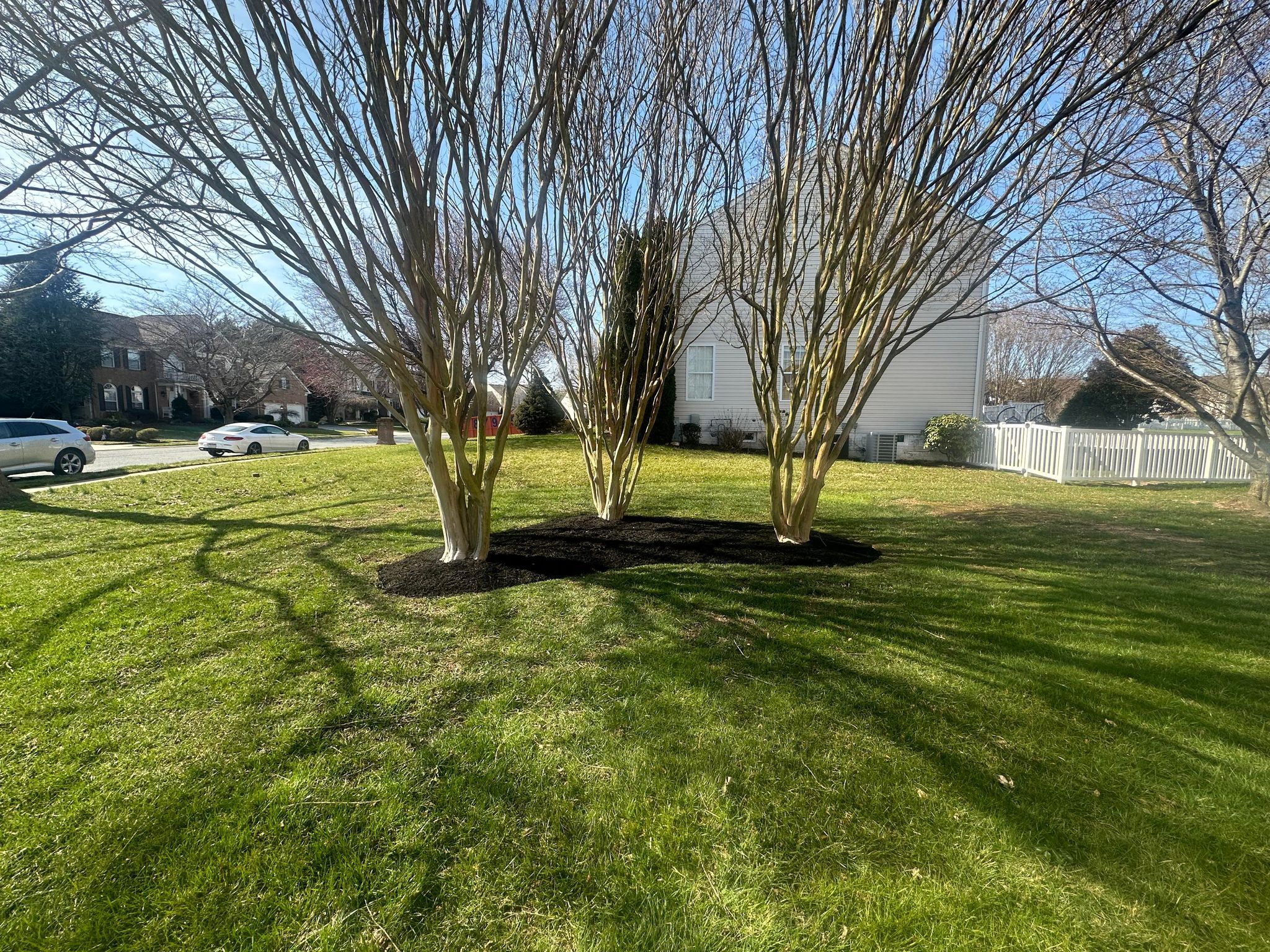 Lawn Care for A Better Lawn Service LLC in Bel Air, MD