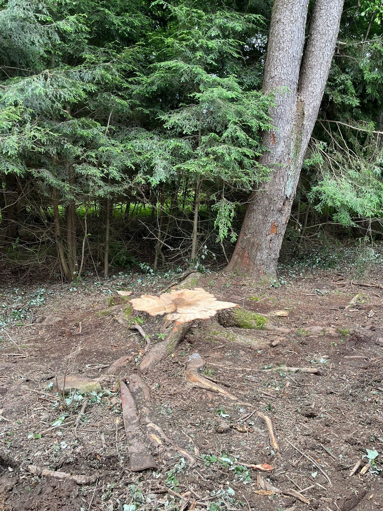  for J&E Tree & Excavation Services in Sandy, PA