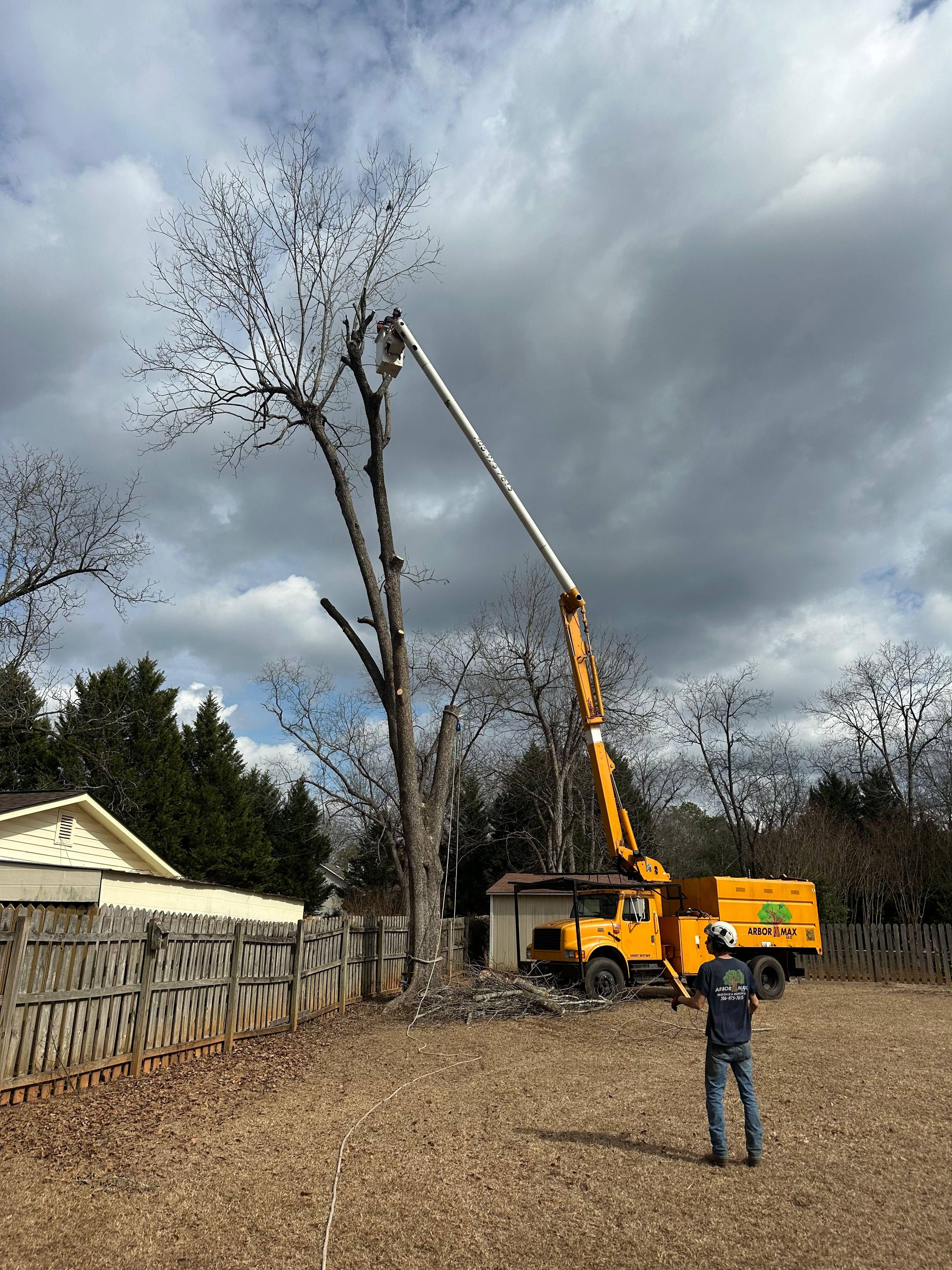  for ArborMax in Thomaston, GA