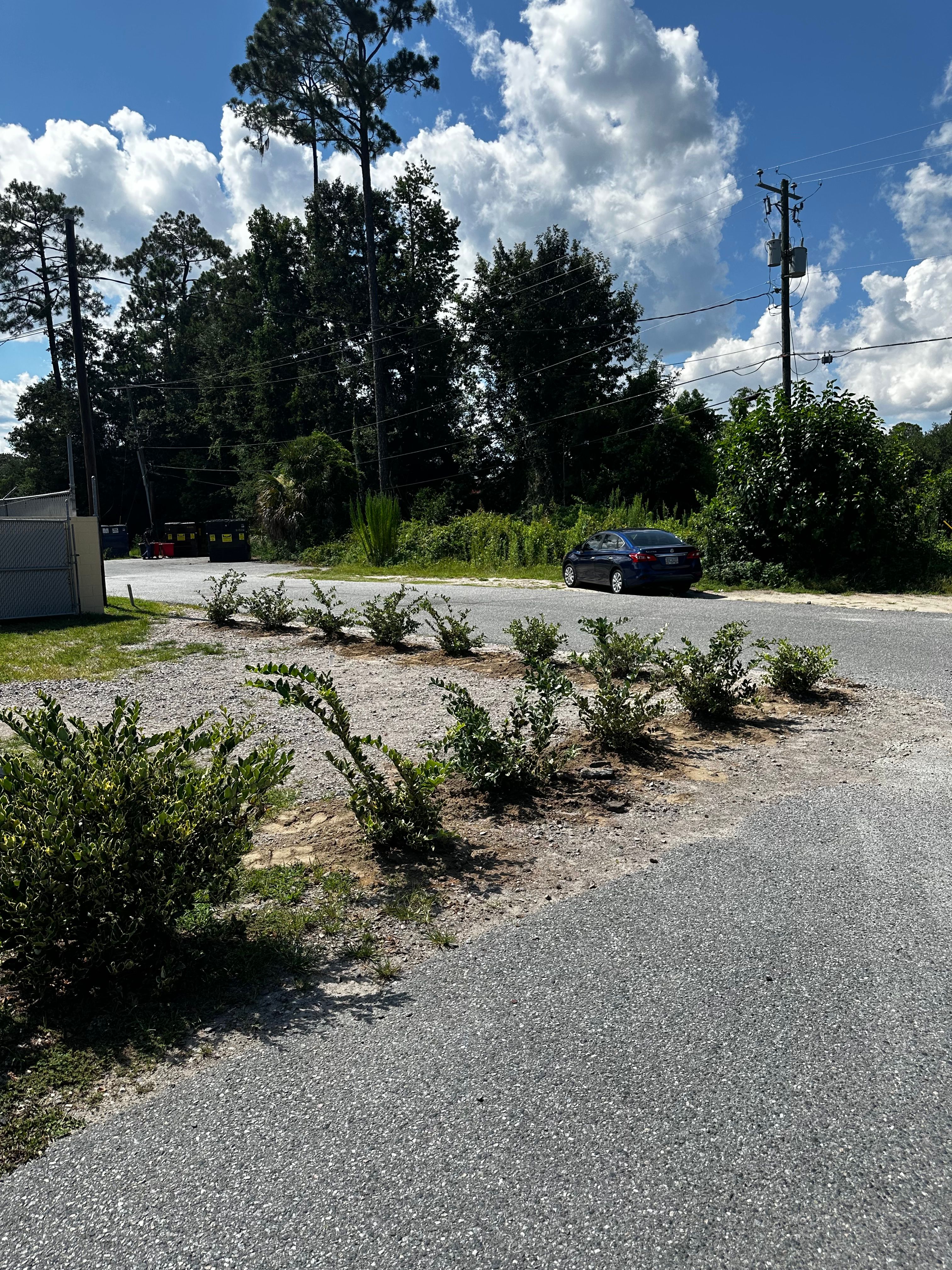  for Coastalscapes Landscaping & Turf Management  in Savannah, GA