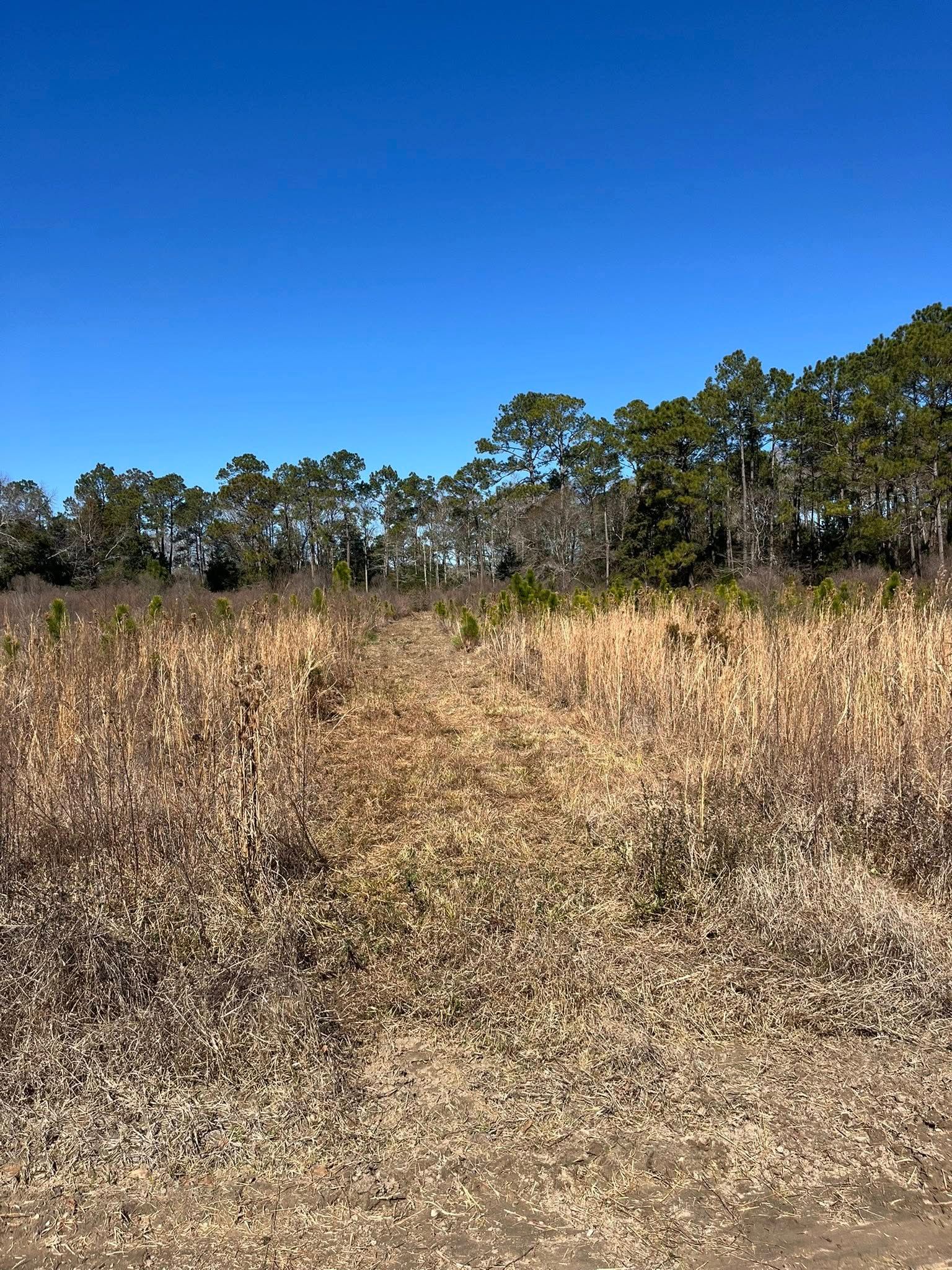  for Thin Blue Line Ventures in Bonifay, FL