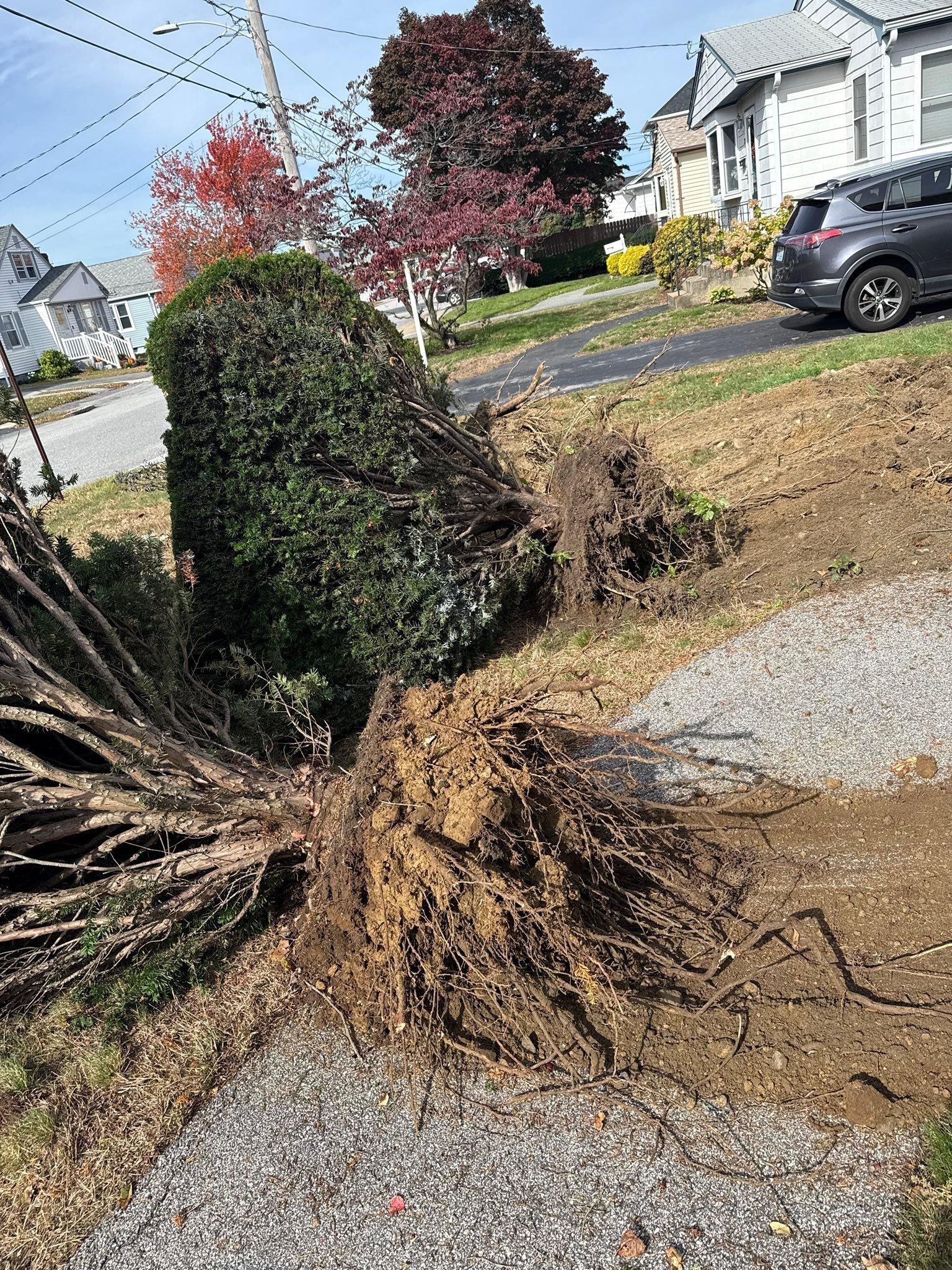  for Lucas Property Maintenance LLC in New Bedford, MA