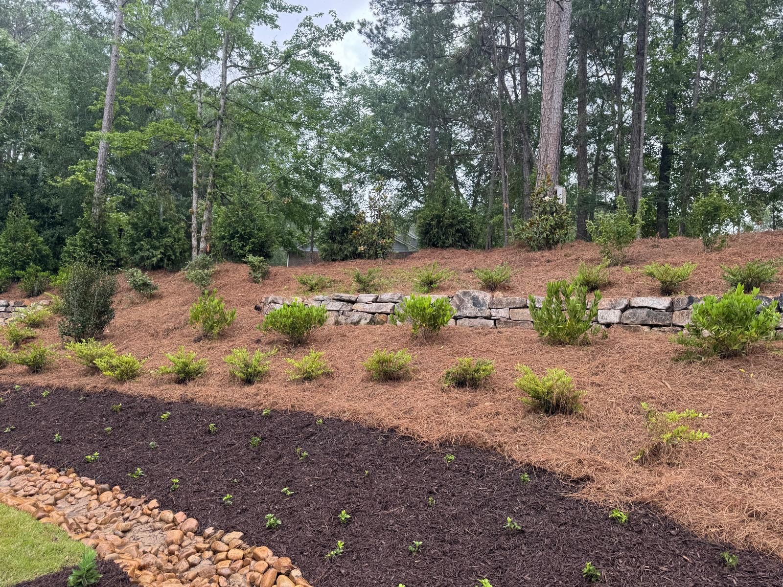  for Capital GREEN in Atlanta, GA