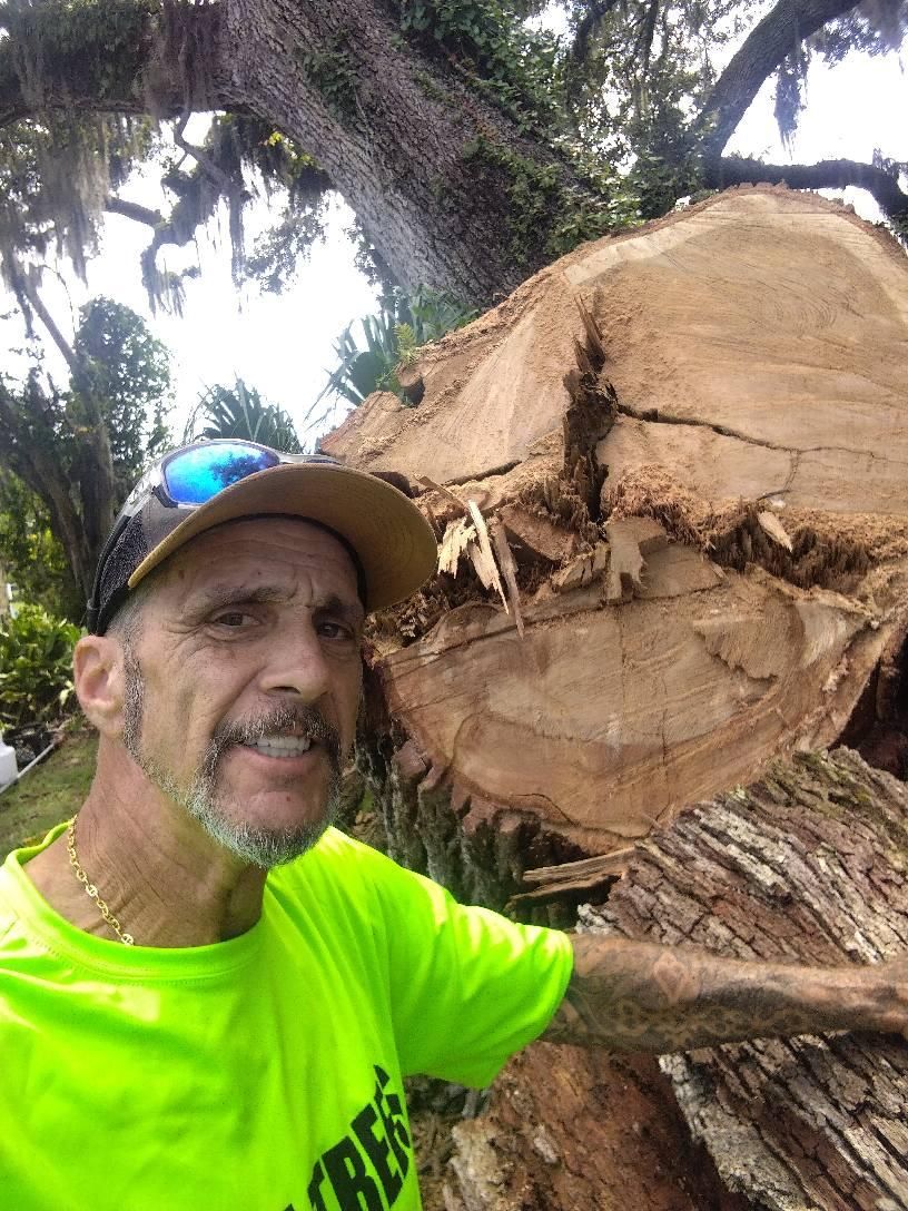  for Bills Tree Service in Valrico, FL