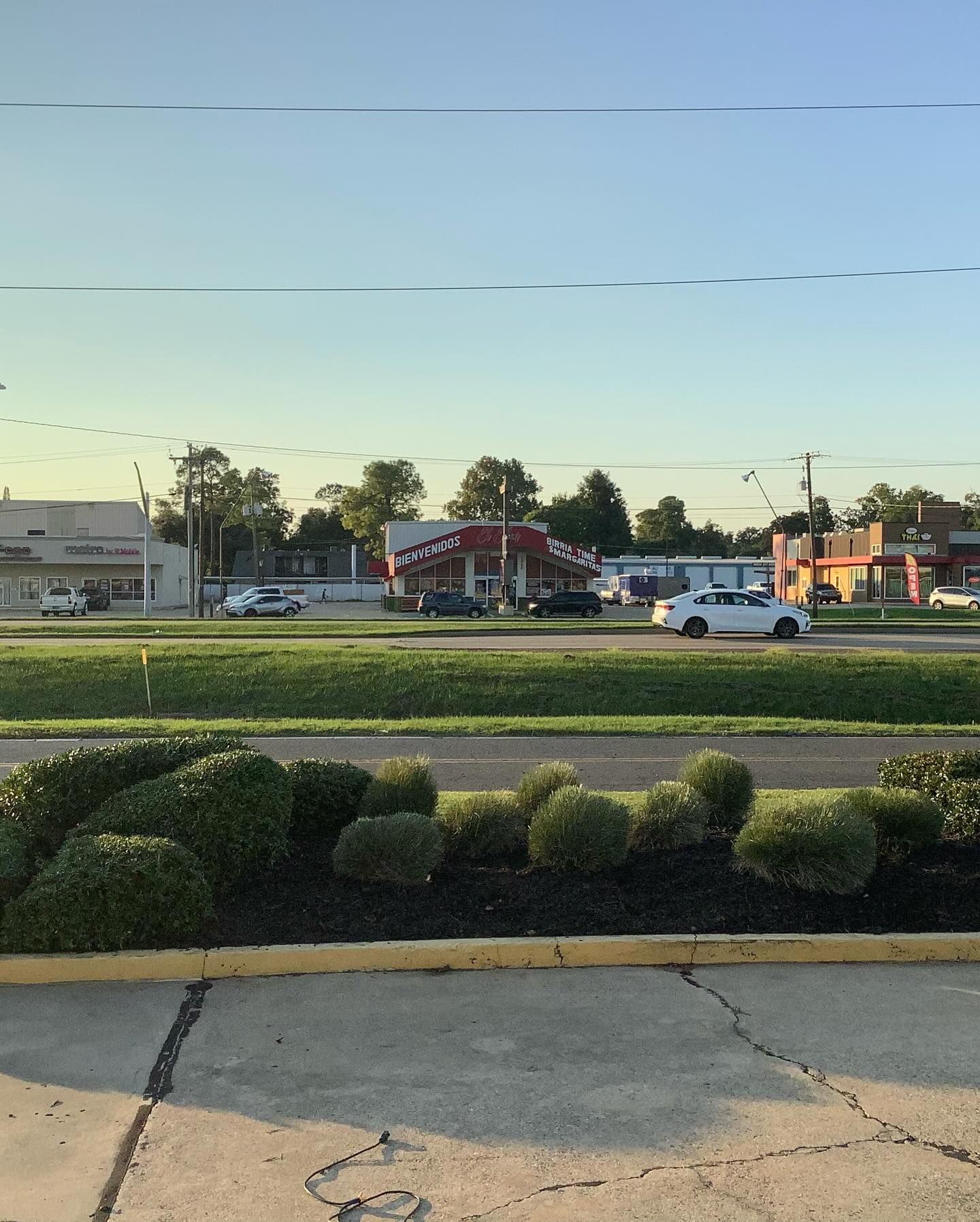  for Gator Mowing in Bossier City,  LA