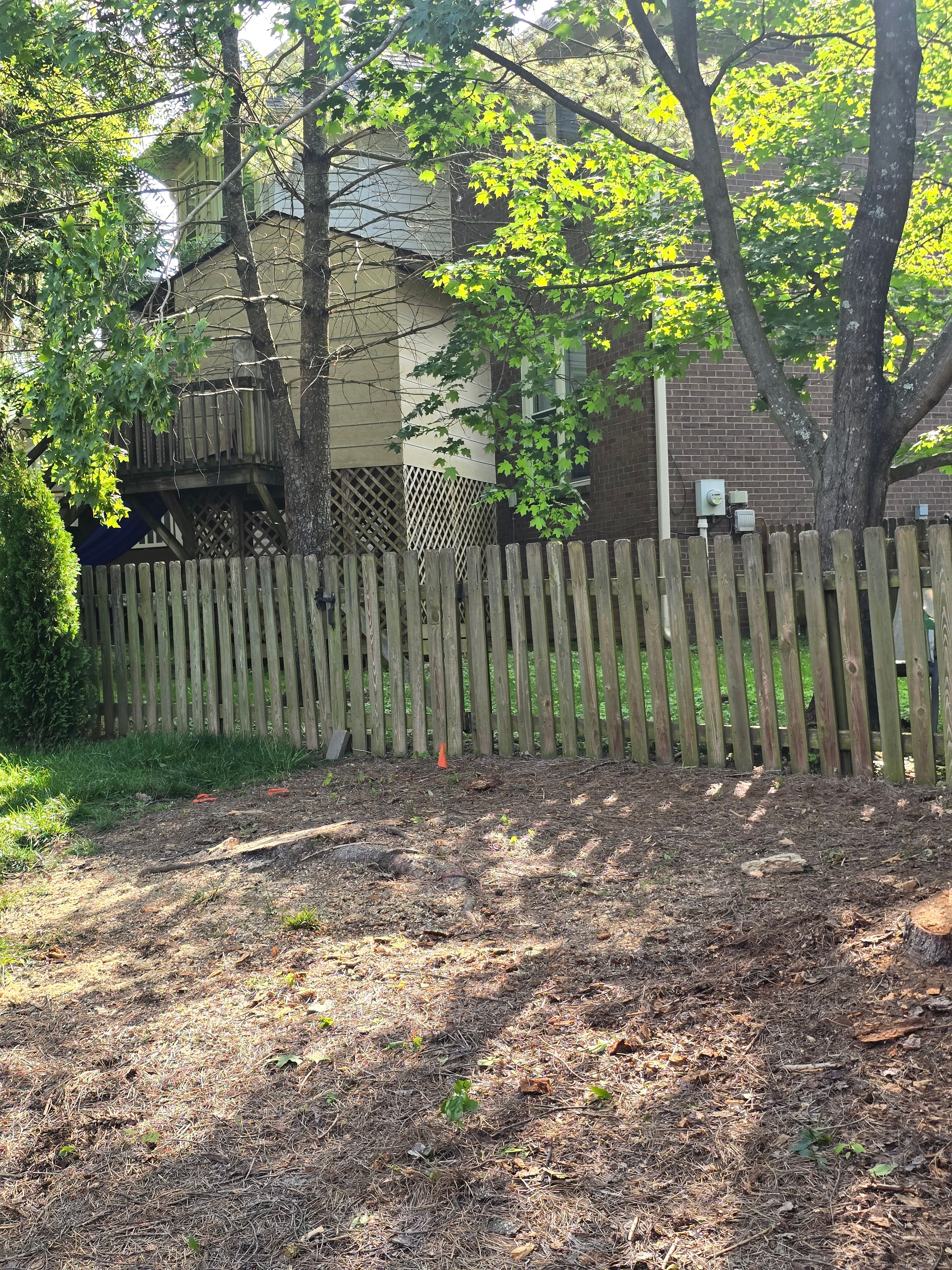  for Timber Ninja Service in Lexington, KY