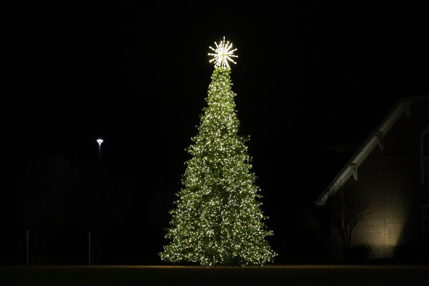  for Holiday Lighting Solutions in Huntsville, AL