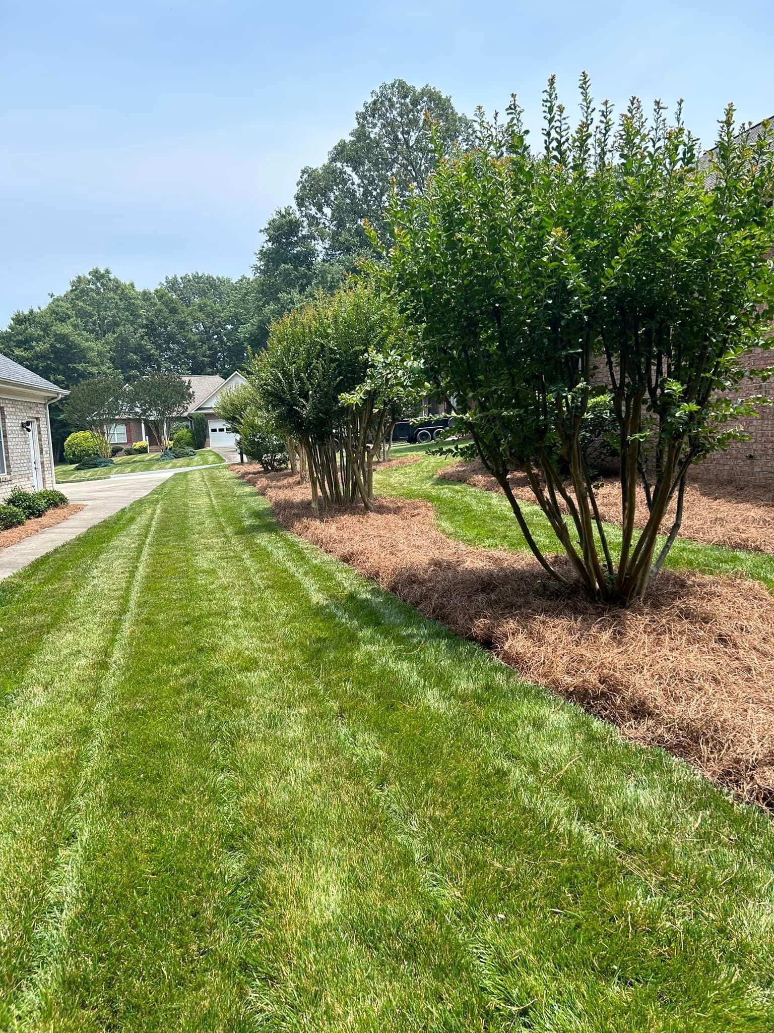  for Cook's Lawn & Landscaping in Taylorsville, NC