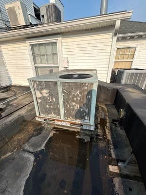 All Photos for Park Place Property Maintenance in Essex County, NJ