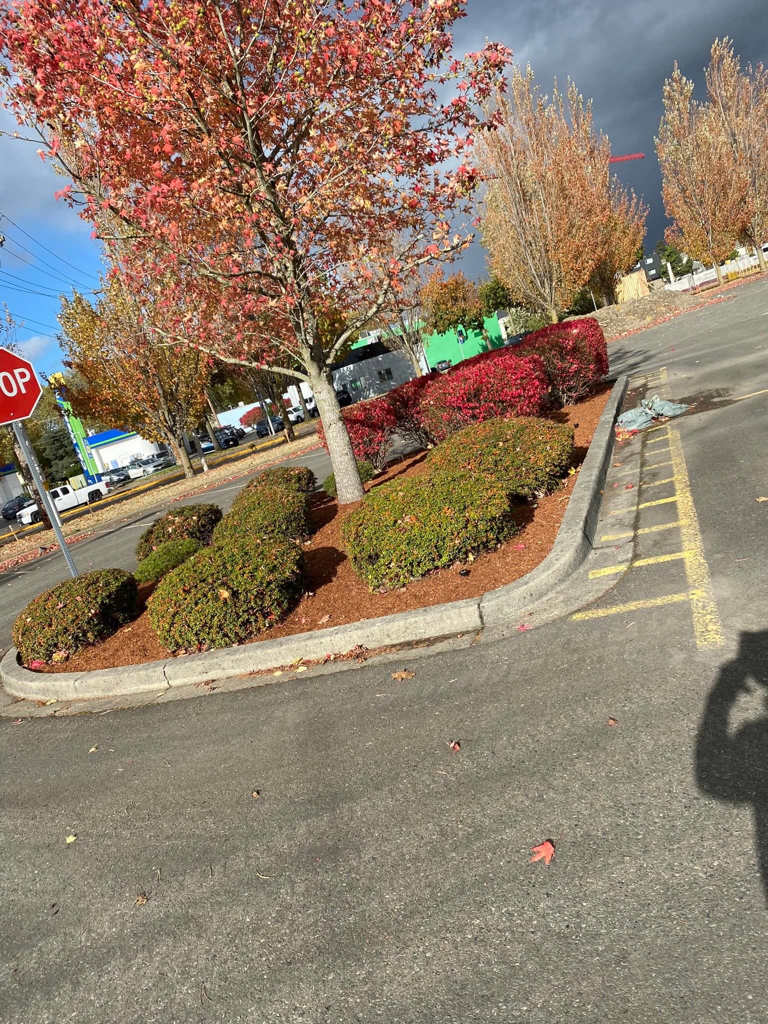  for Family Landscaping & Irrigation in Auburn, WA