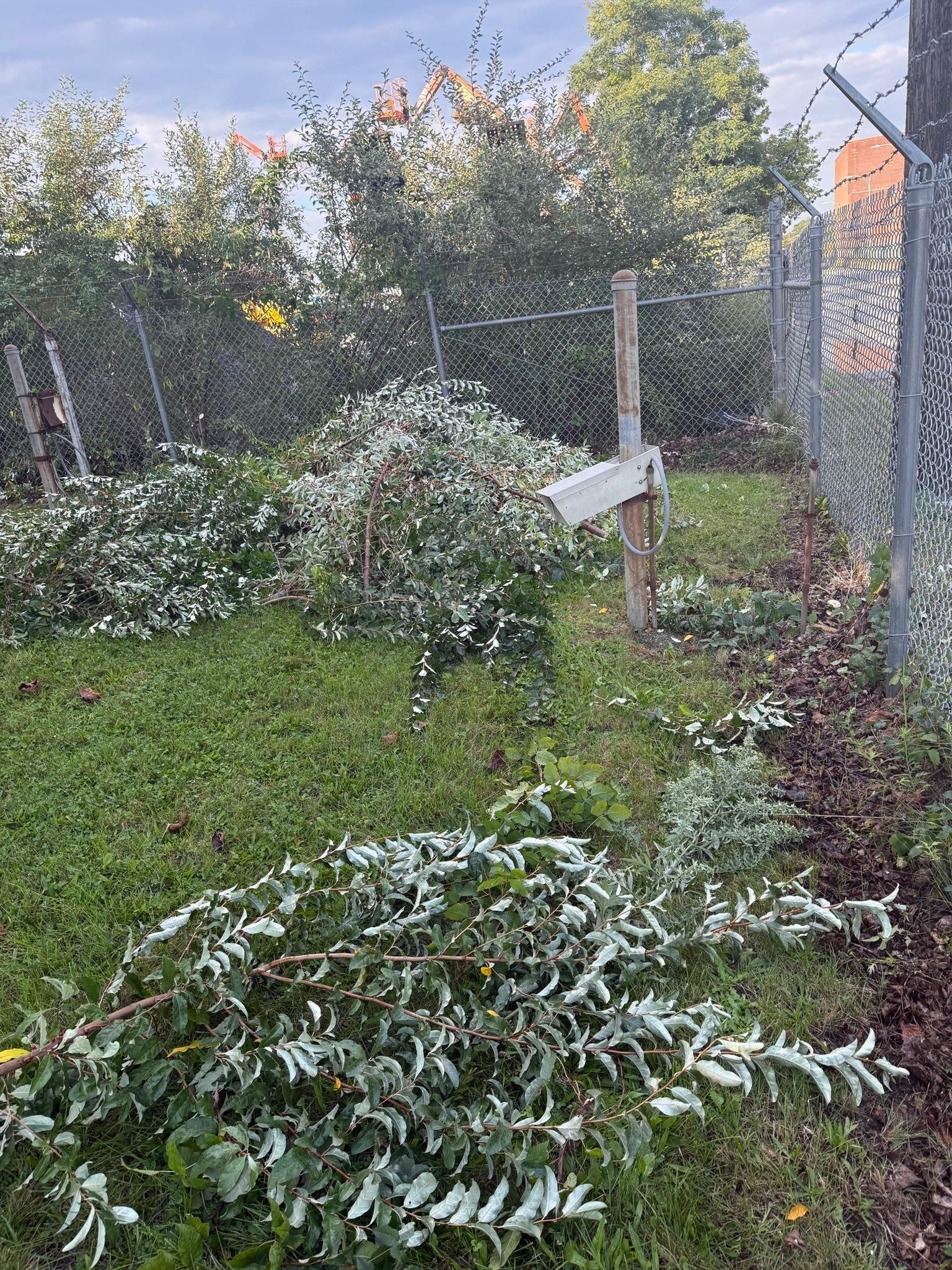  for Lucas Property Maintenance LLC in New Bedford, MA