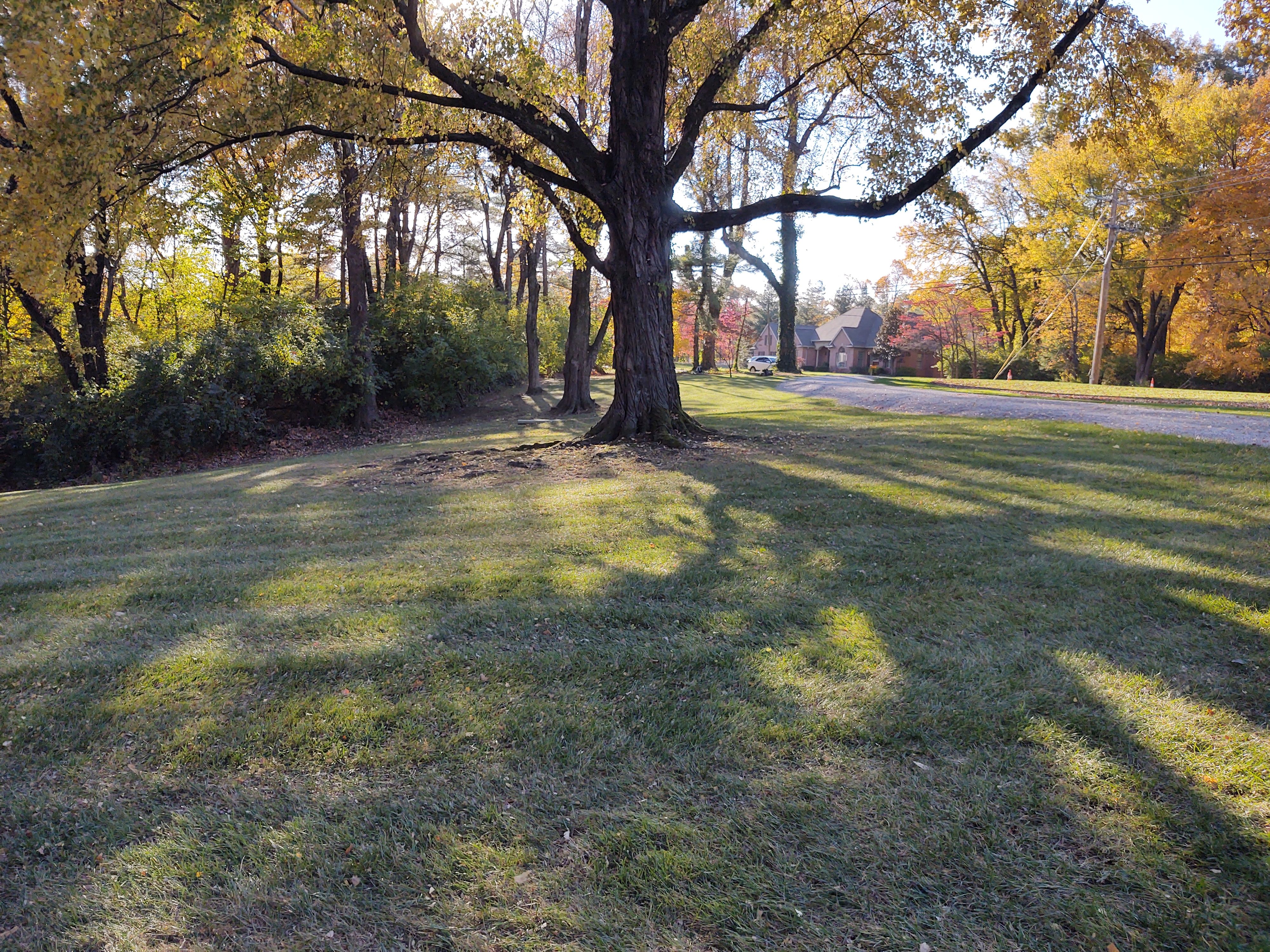  for The Grass Guys™ in Evansville, IN