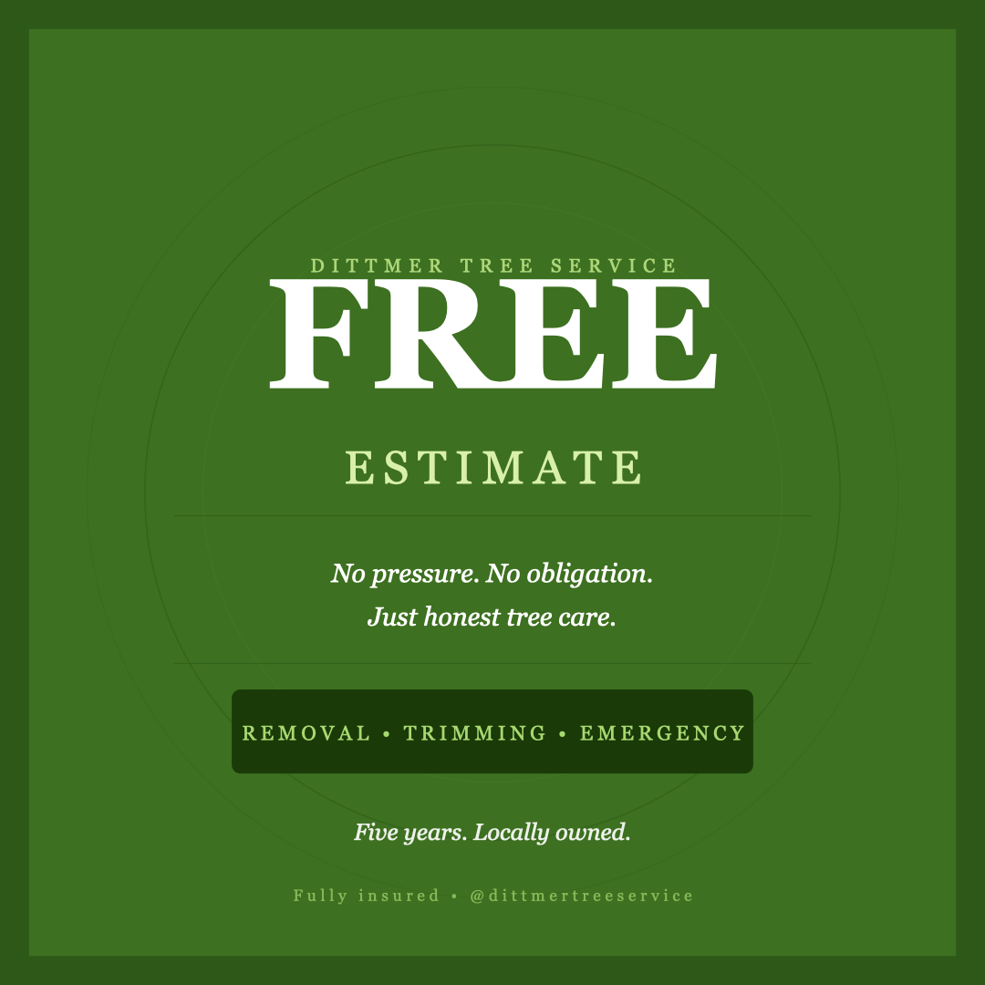 All Photos for Dittmer Tree Service in Davenport, IA