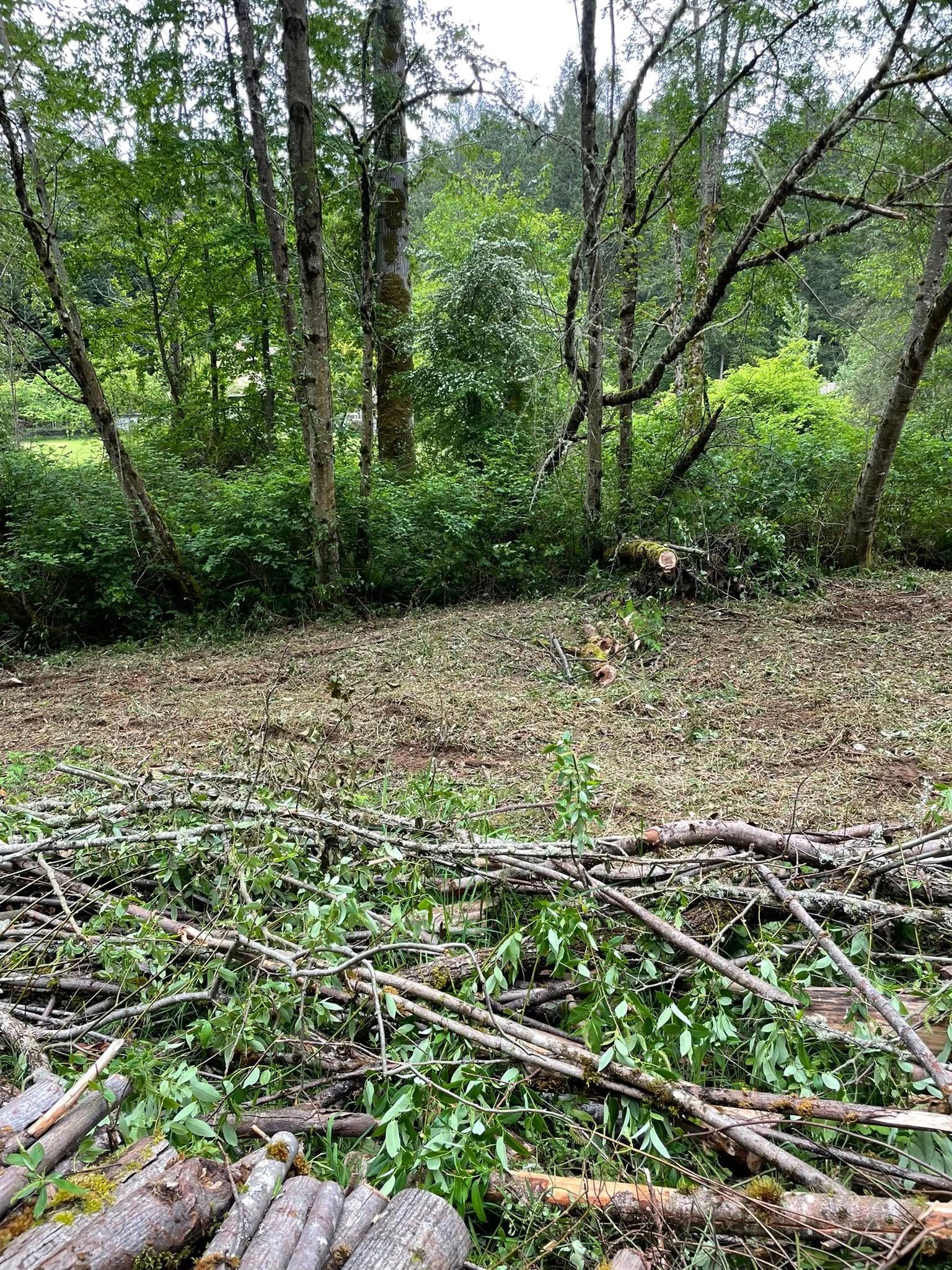  for Wilderness Stump Grinding in Orting, WA