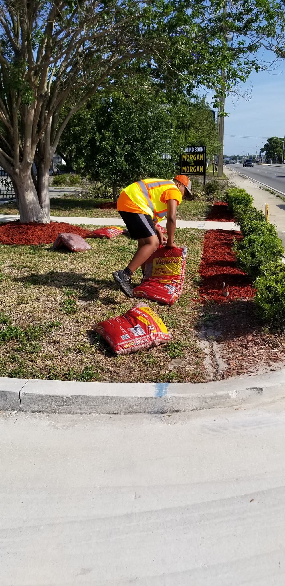 Lawn Care for V Man Services LLC in Asbury Lake, FL