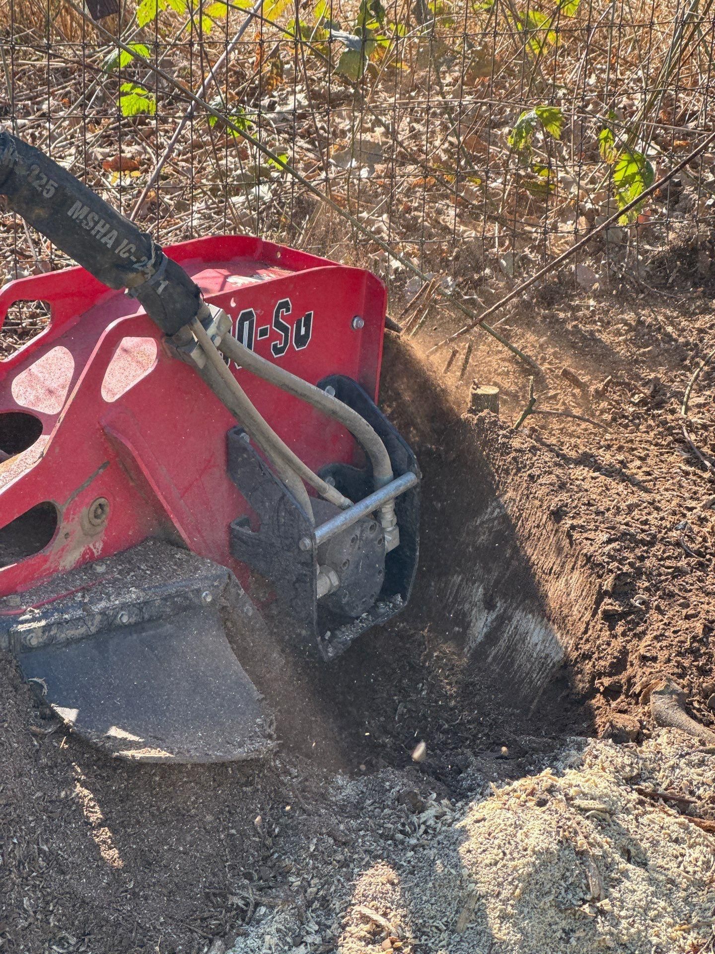  for Willamette Landscaping and Tree Services in Albany, OR