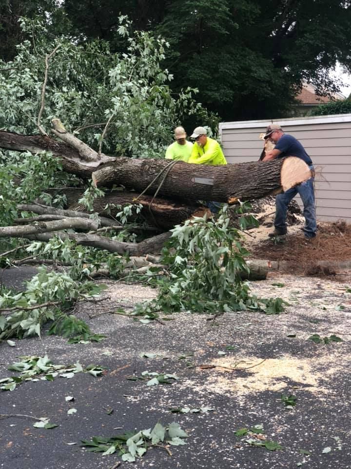  for North Meck Tree & Grounds Specialist in Huntersville, NC