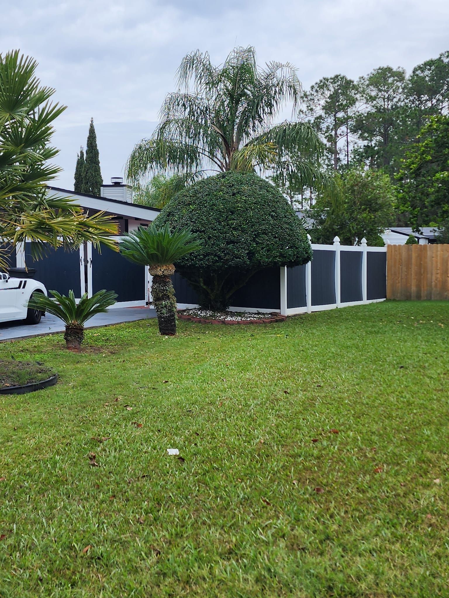 Lawn Care for V Man Services LLC in Asbury Lake, FL