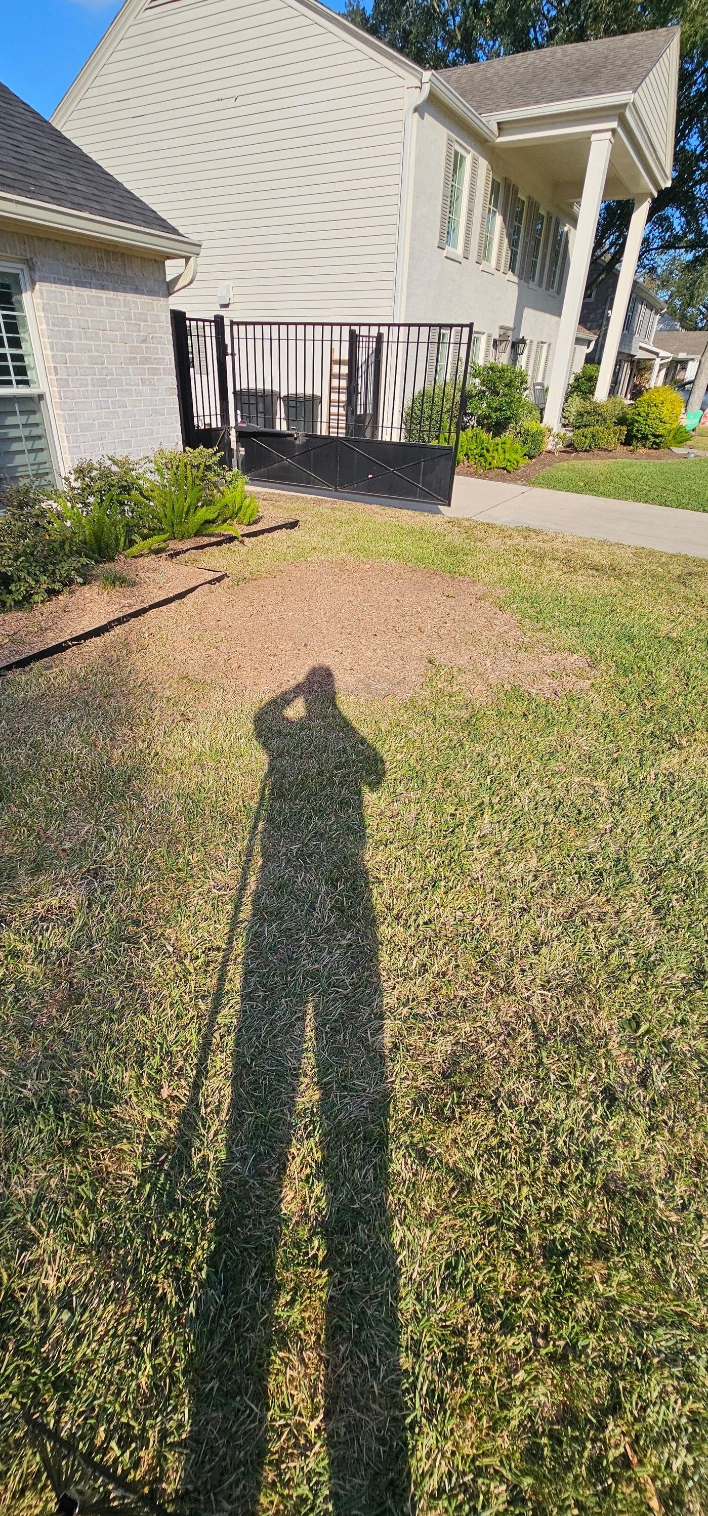  for Servin's Tree Care  in Houston, TX