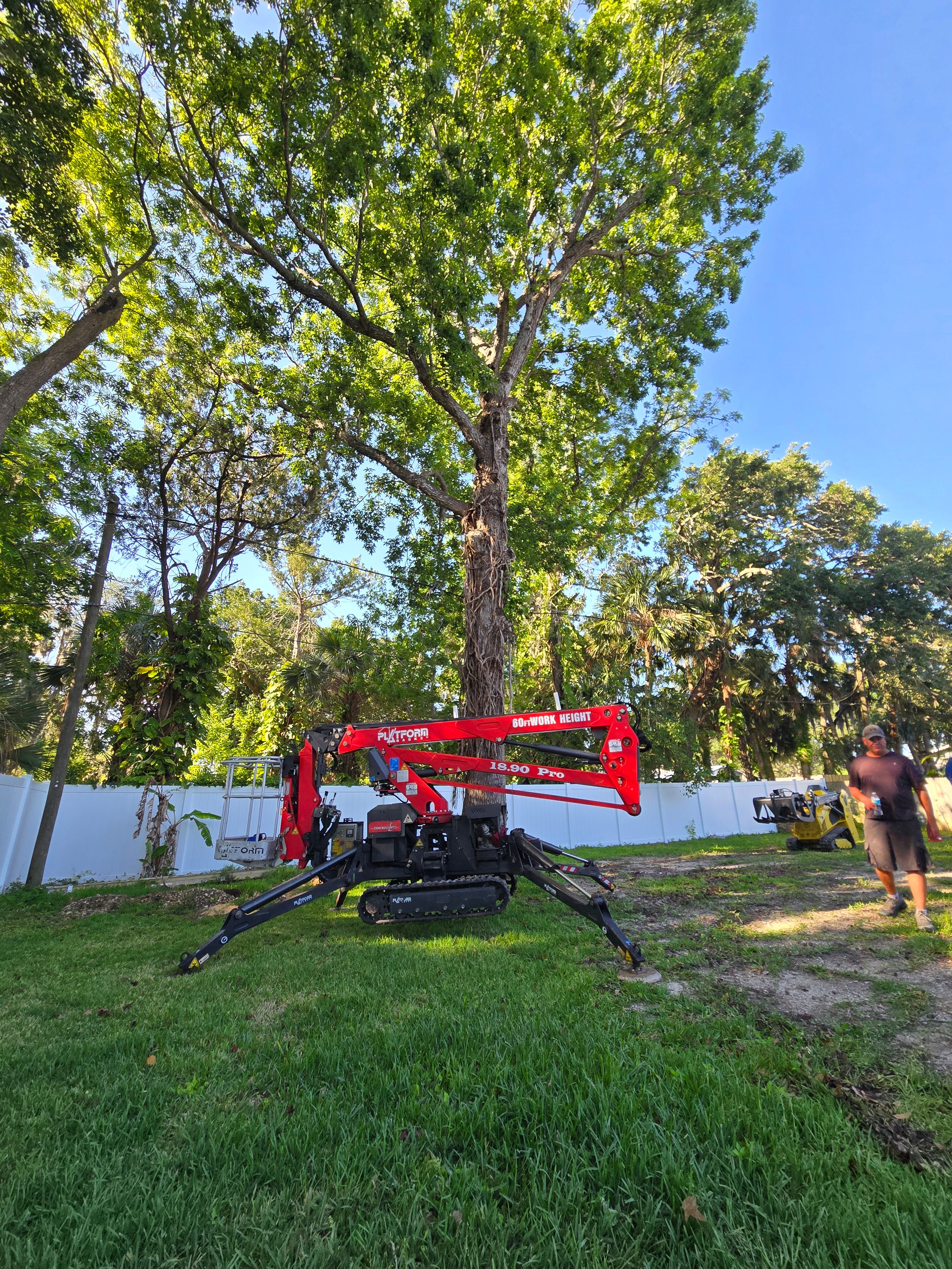 All Photos for Near Me Tree Service, Inc. in DeLand, FL