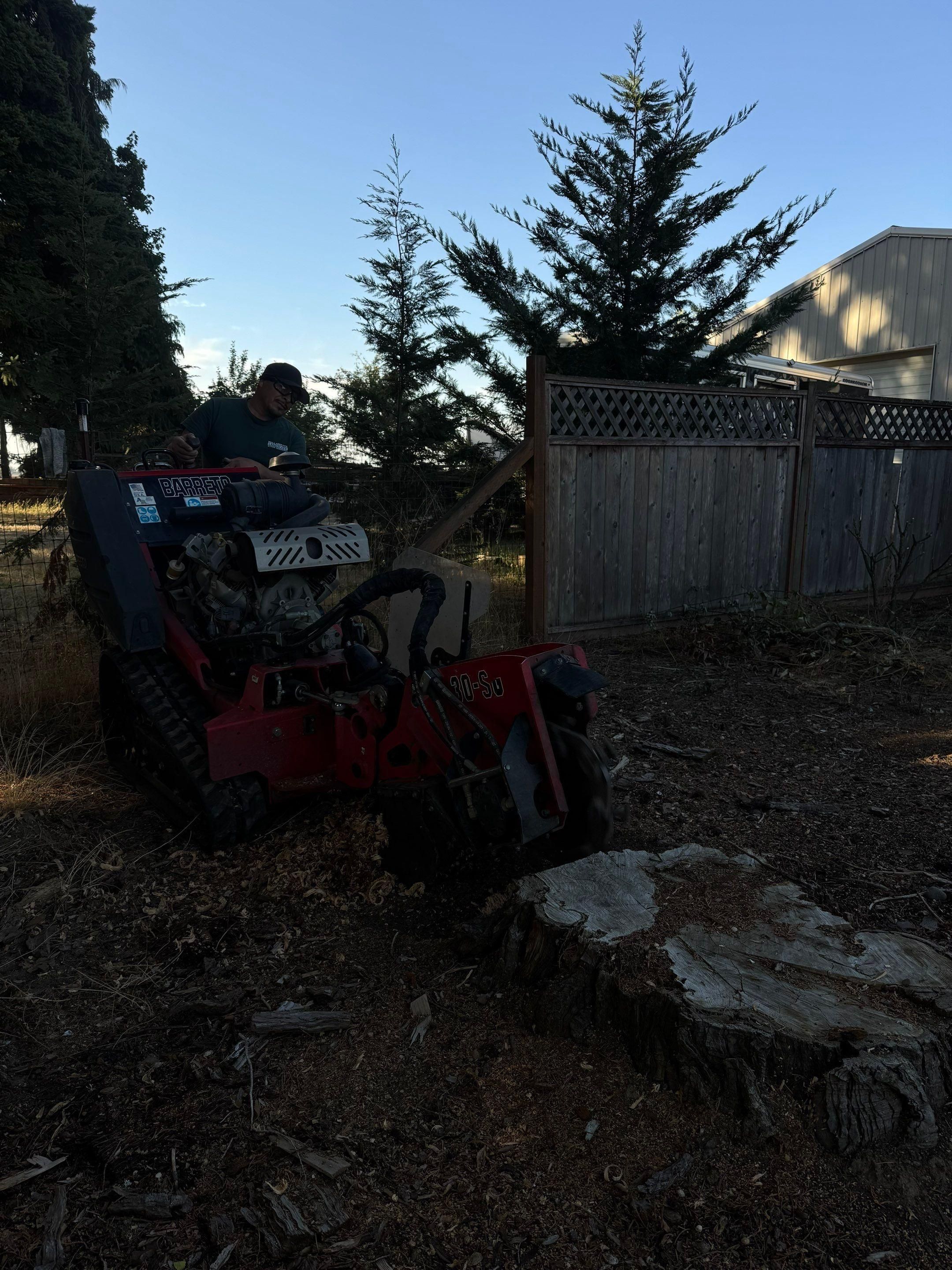 Stump grinding for Willamette Landscaping and Tree Services in Albany, OR