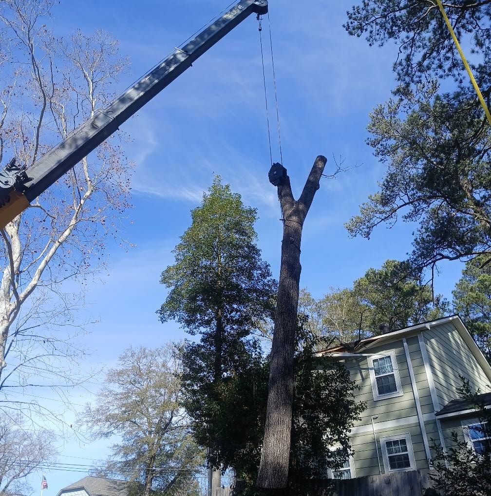 All Photos for Kingdom Riderz Hauling And Tree Service in Tar Heel, NC