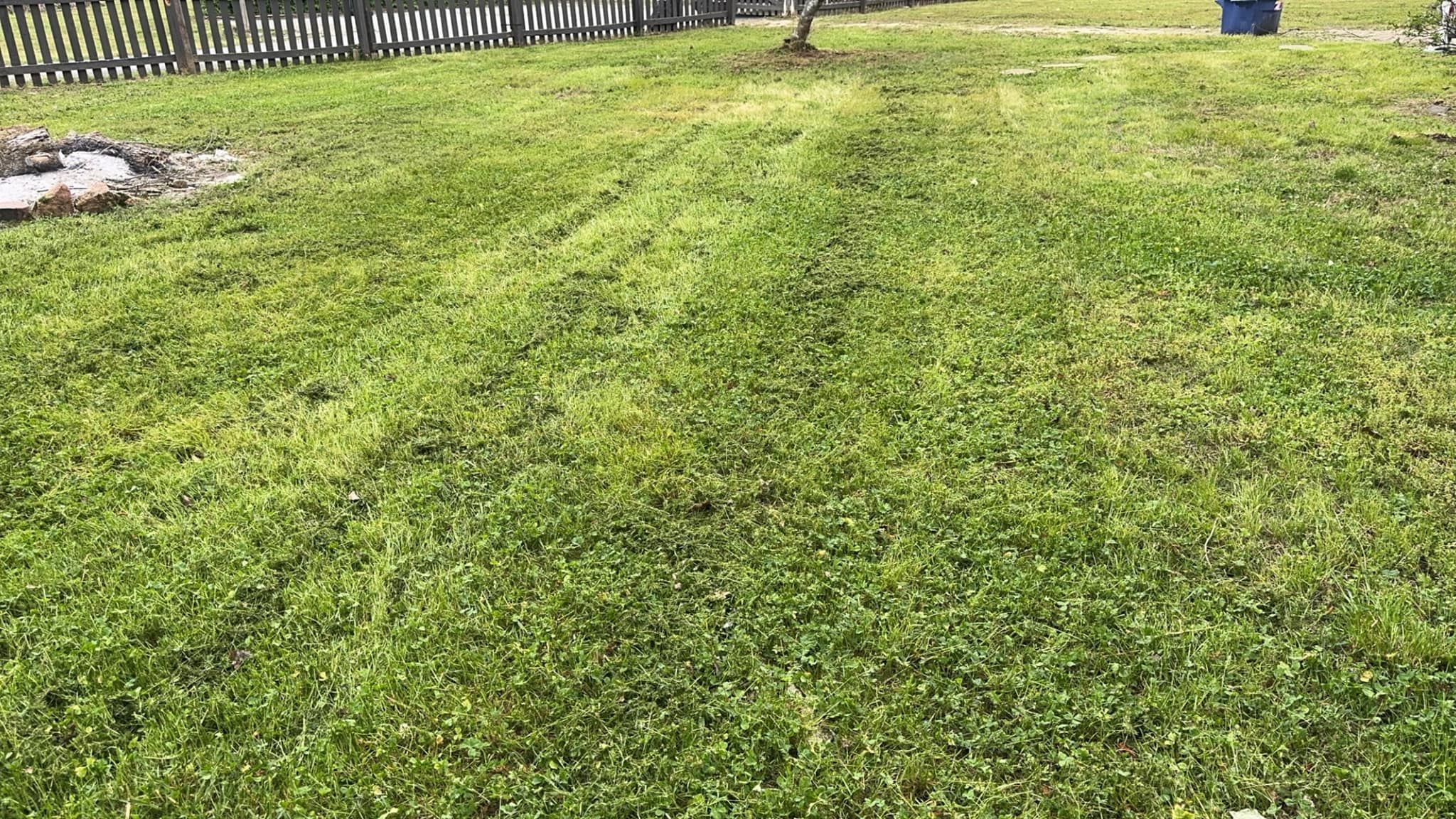  for Thin Green Line Landscaping & More in Laurens, SC