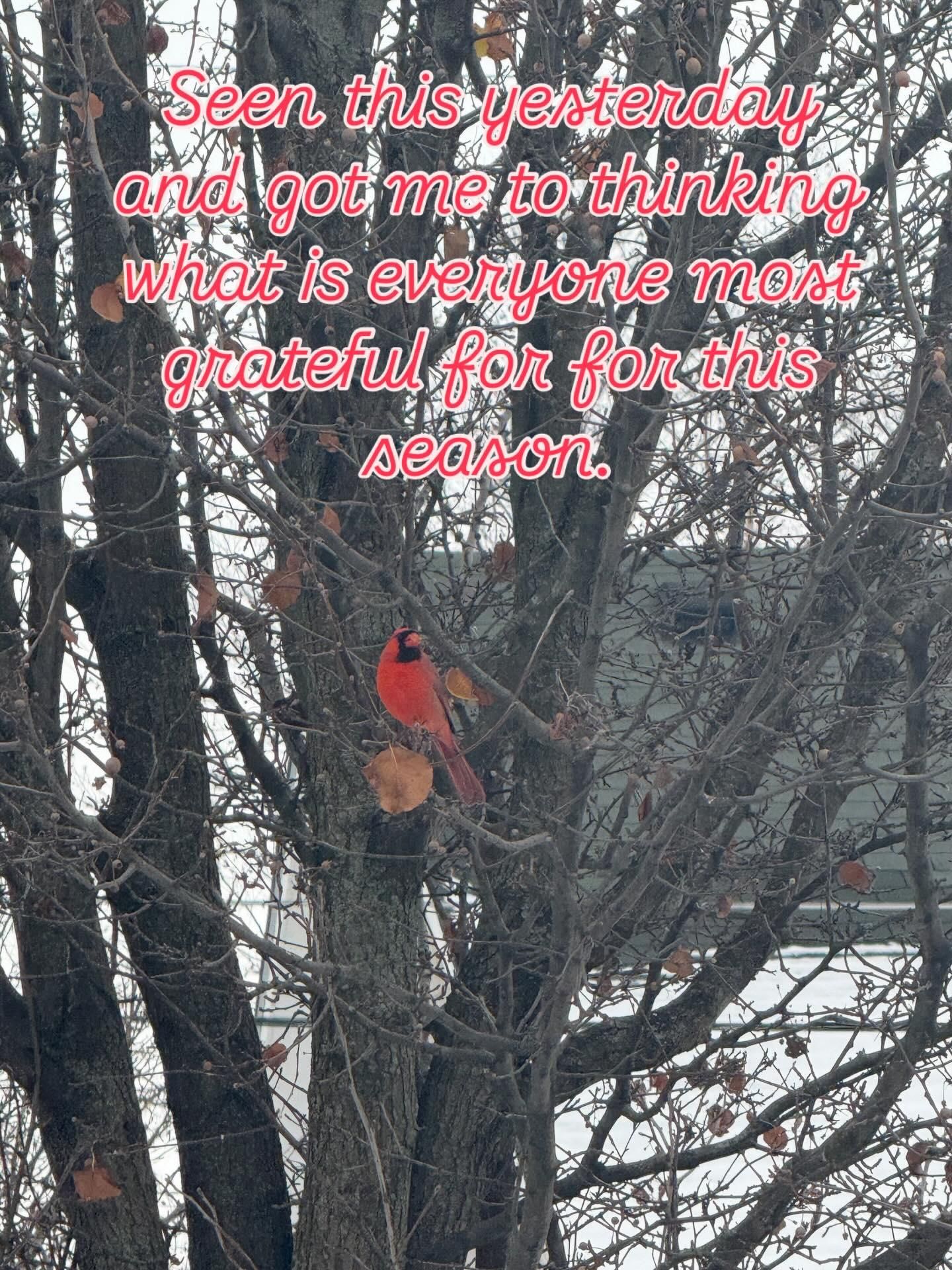 All Photos for Bearforce Lawn Care LLC in Greenfield, IN