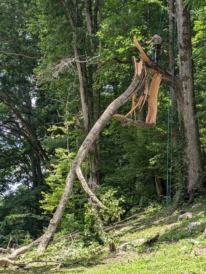  for Wade's Family Tree Service in Townsend, TN