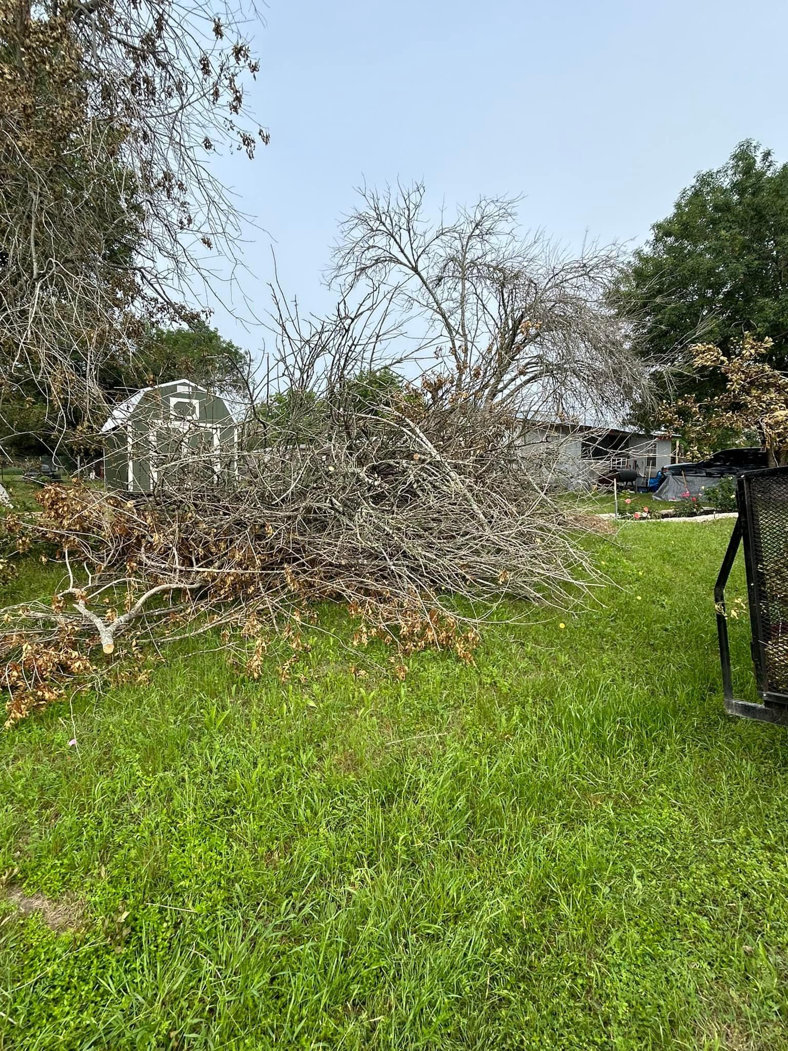  for Green Turf Landscaping in Kyle, TX