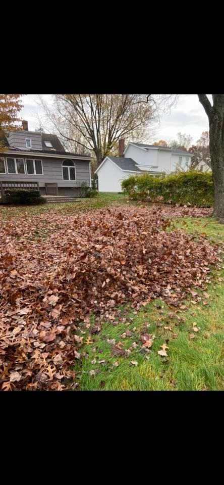 Fall Clean up & Leaf Removals for Ace Landscaping in Trumbull, CT