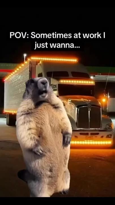  for Polar Breeze System in Dallas, TX