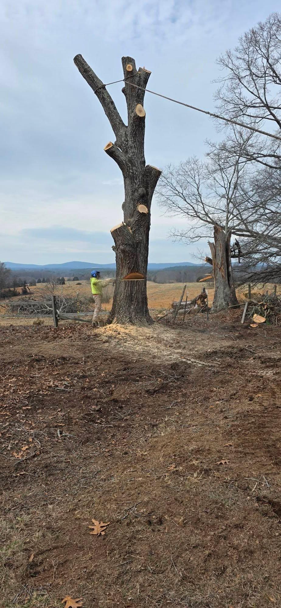  for Hamlett Tree Service LLC in Clover, VA