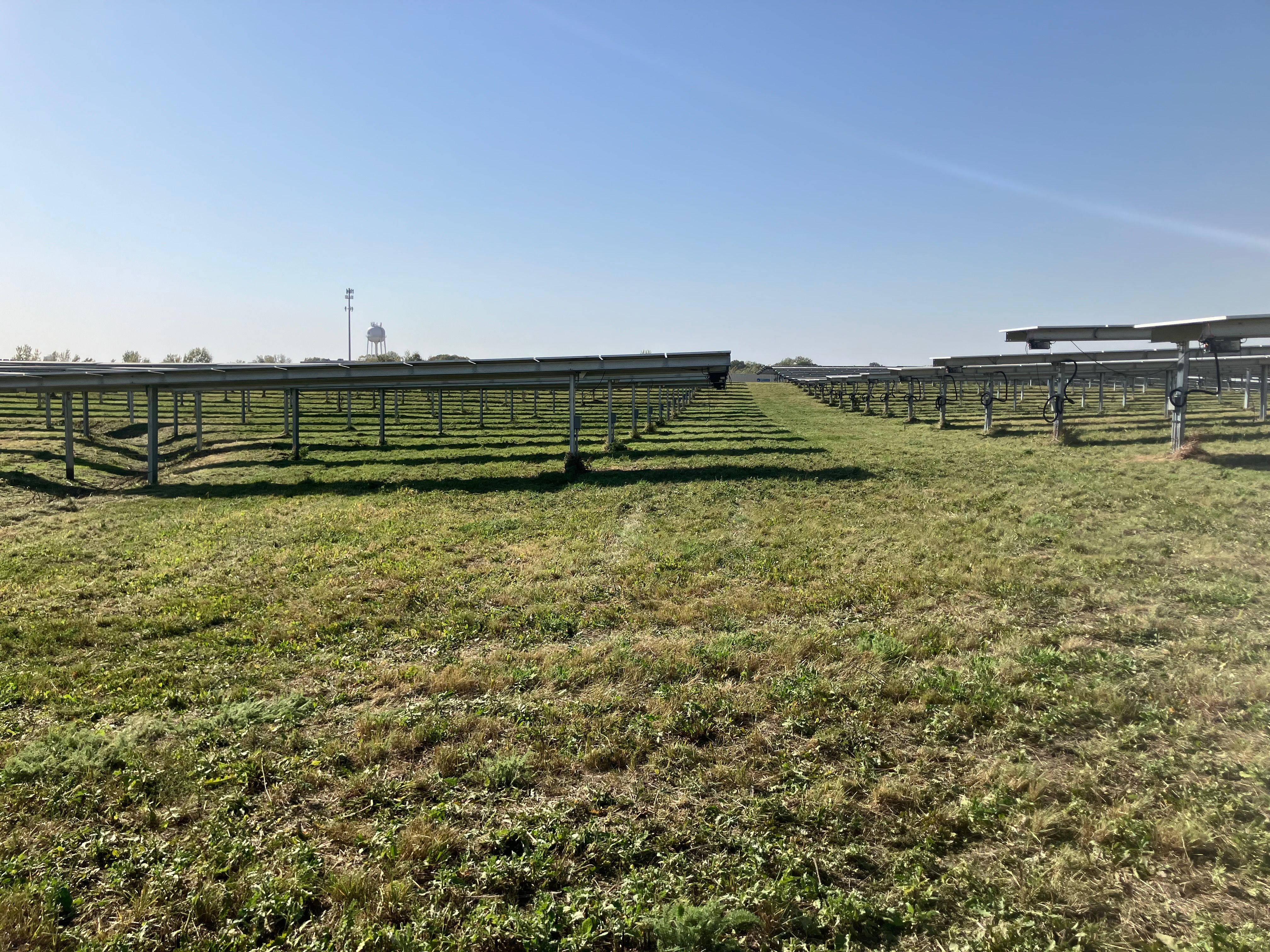  for Premier Services in New London, MN