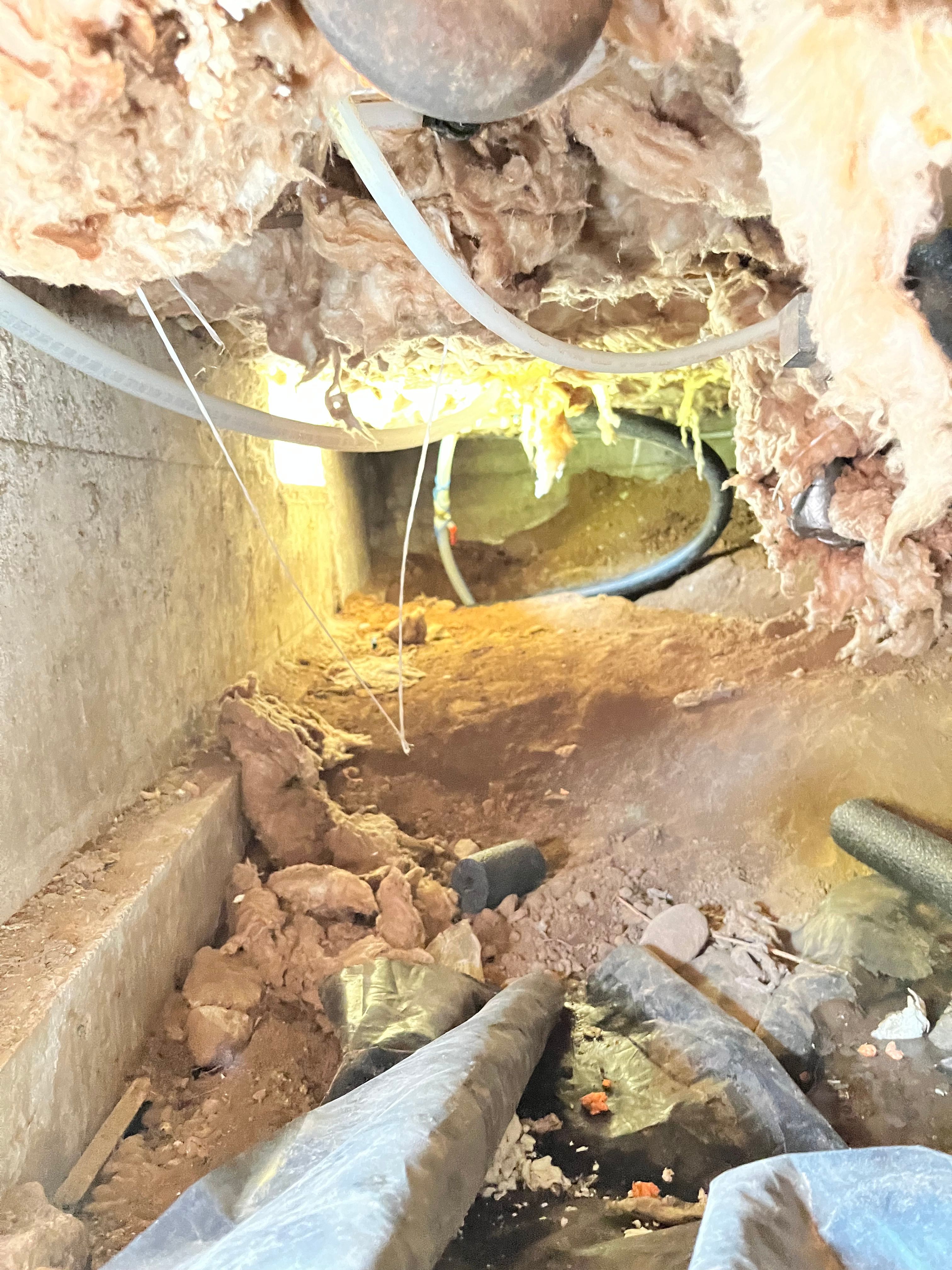 All Photos for Absolute Plumbing and Drains LLC in Beaverton, OR