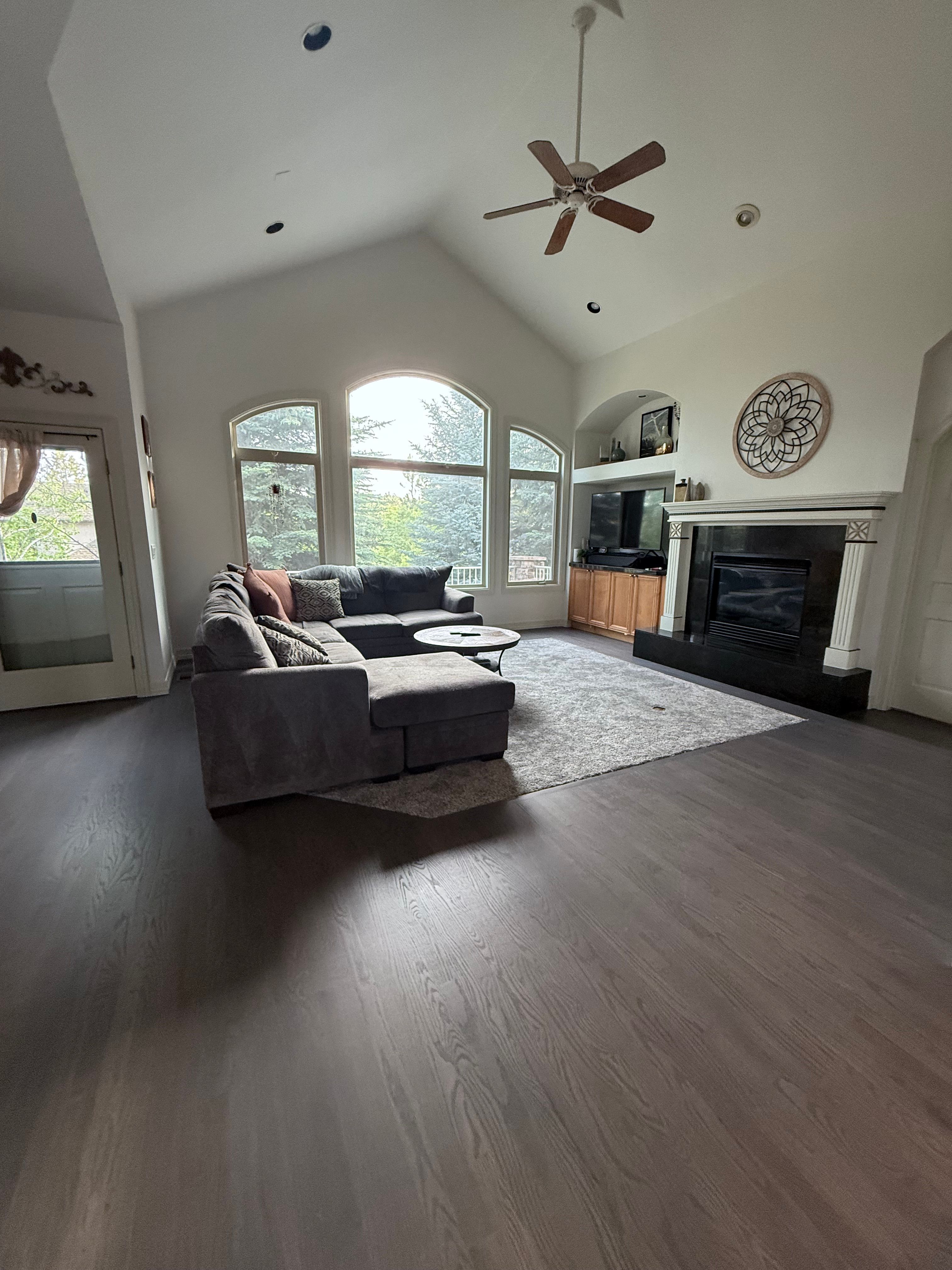  for Alpha Flooring & Painting Services. in Centennial, CO