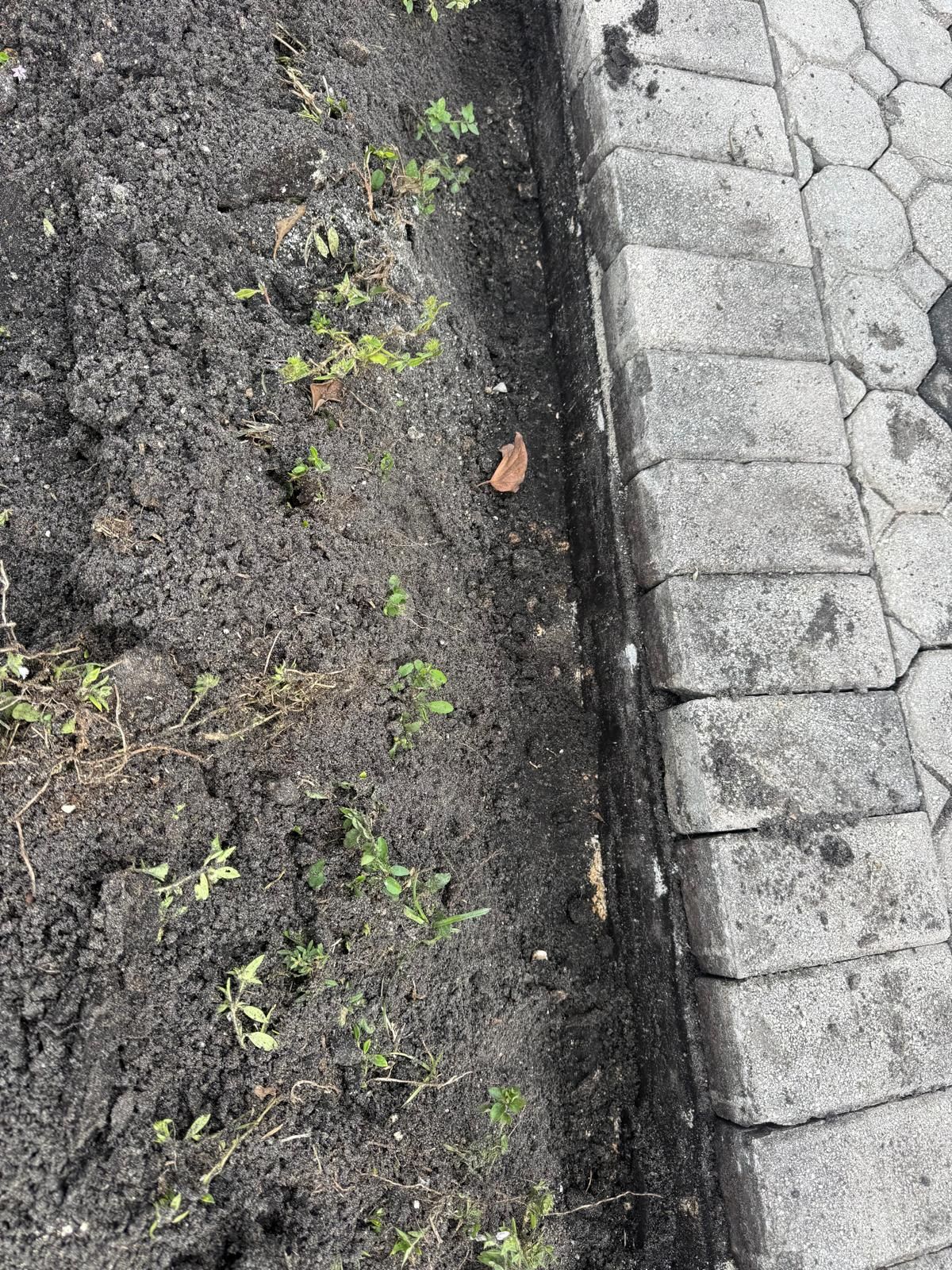  for ABS Designers LLC in Boca Raton, FL