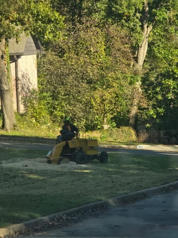  for Oklahoma Tree Guy in Bartlesville, OK