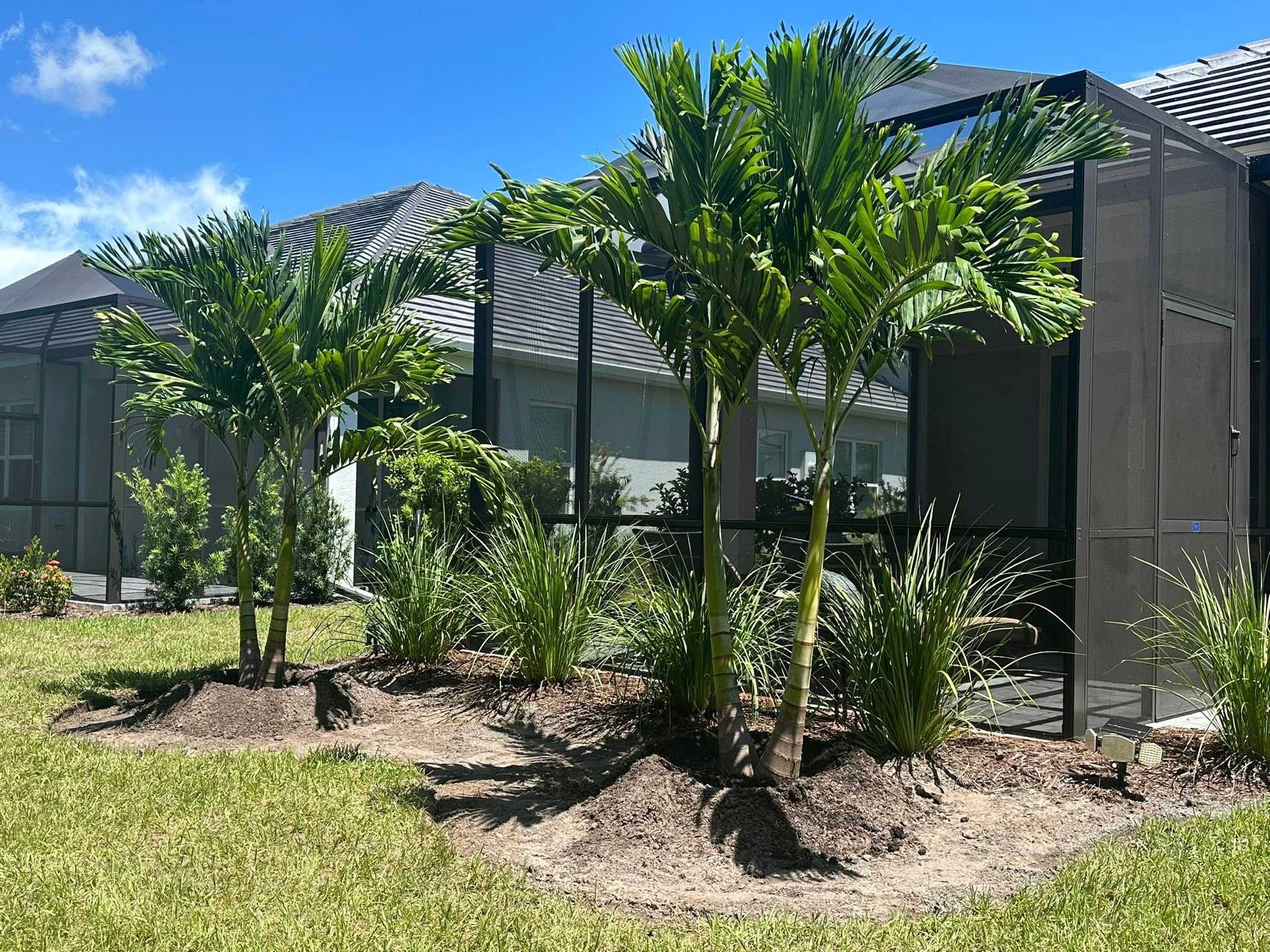  for Plant World LLC in Cape Coral, FL