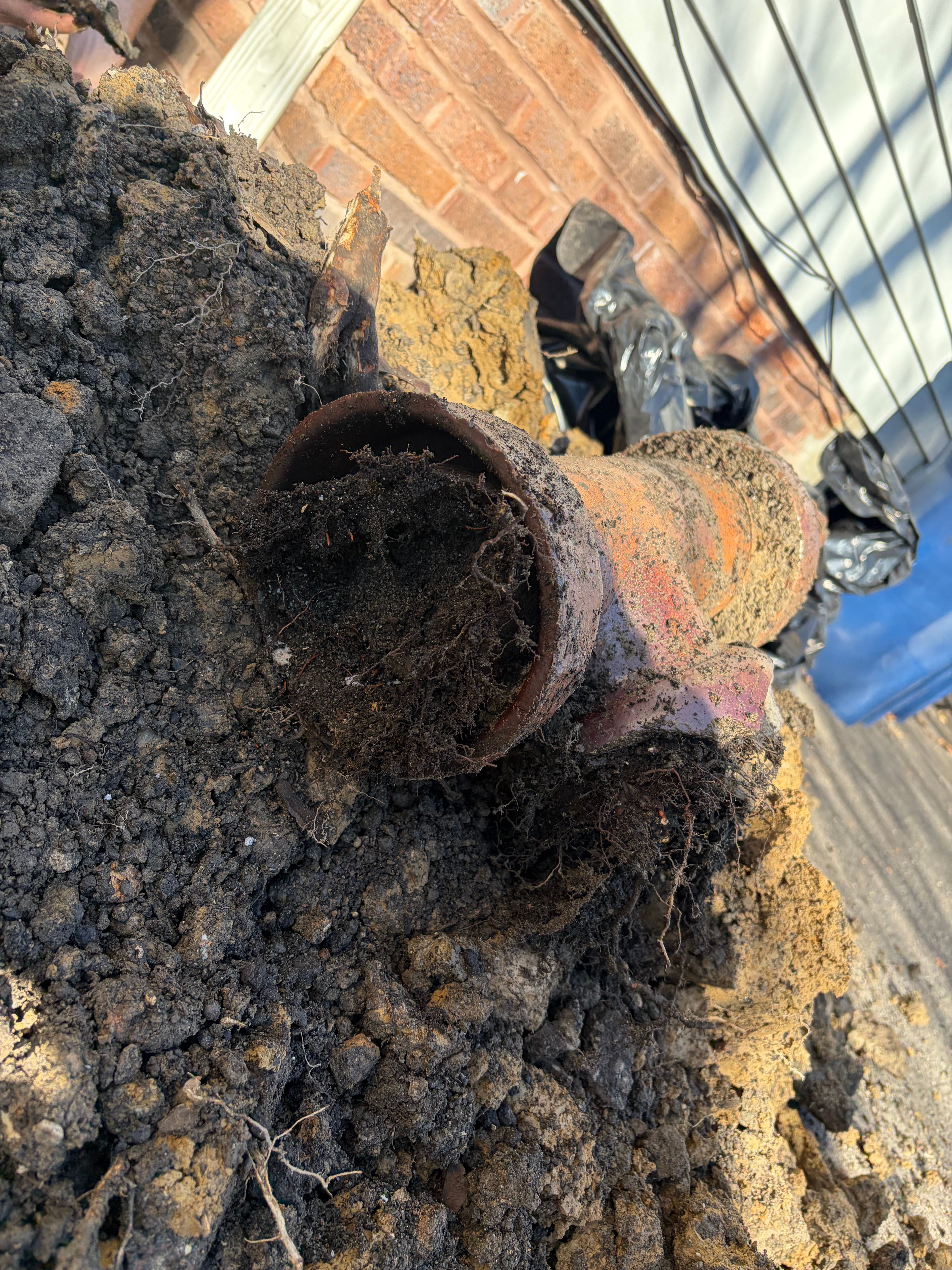  for The Drain Force in Cleveland, OH