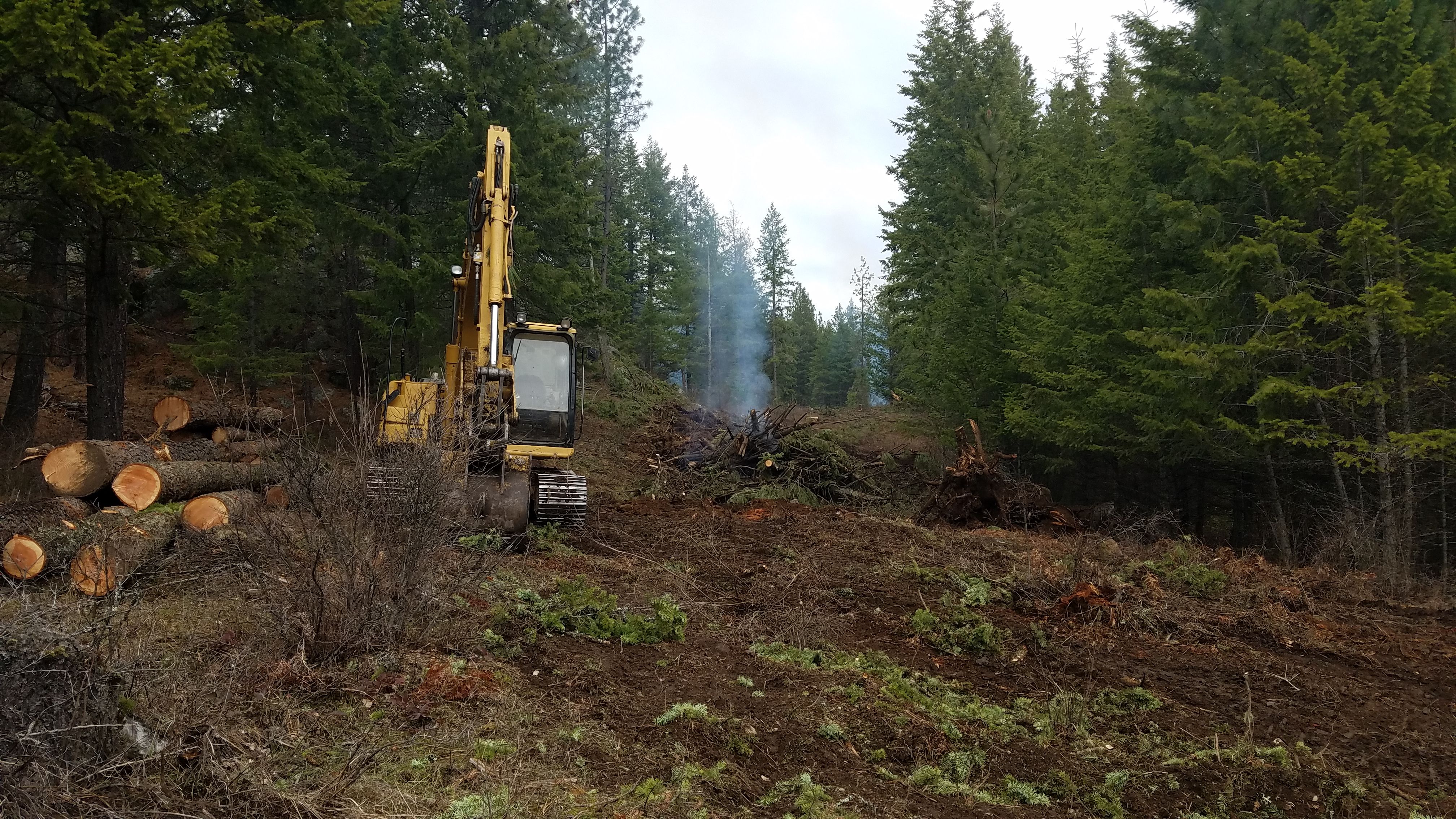  for Weingart Enterprises in Newman Lake, WA